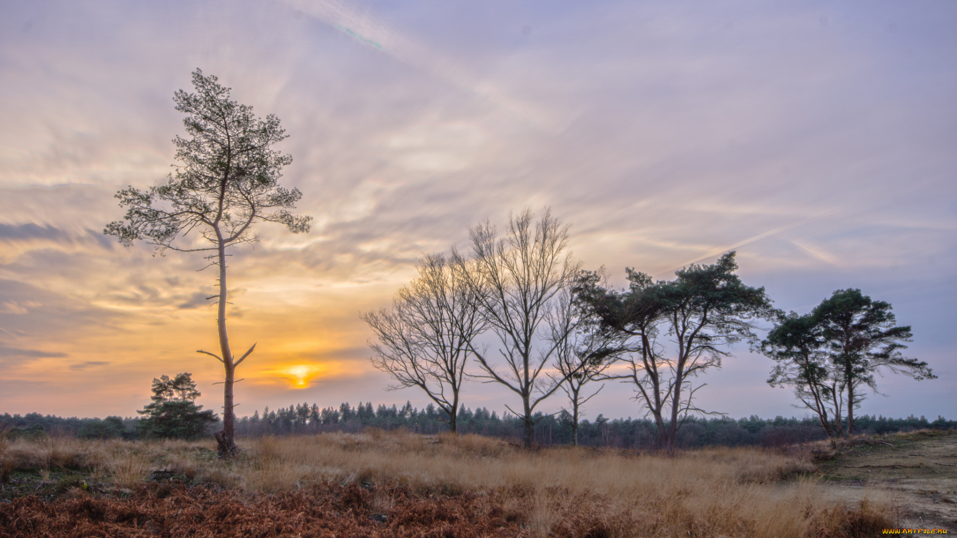 природа, восходы, закаты, рассвет