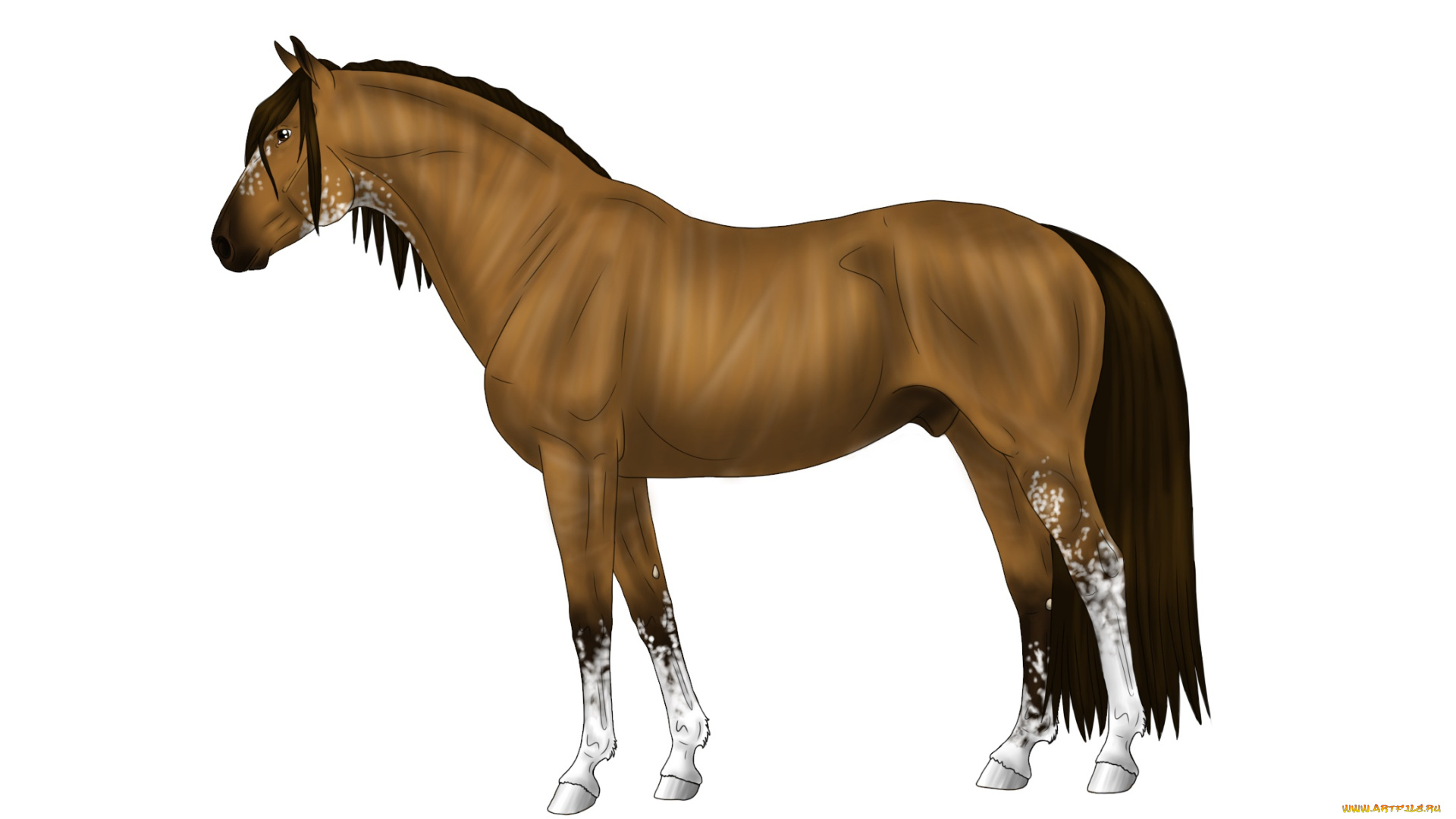 рисованное, животные, , лошади, лошадь, фон