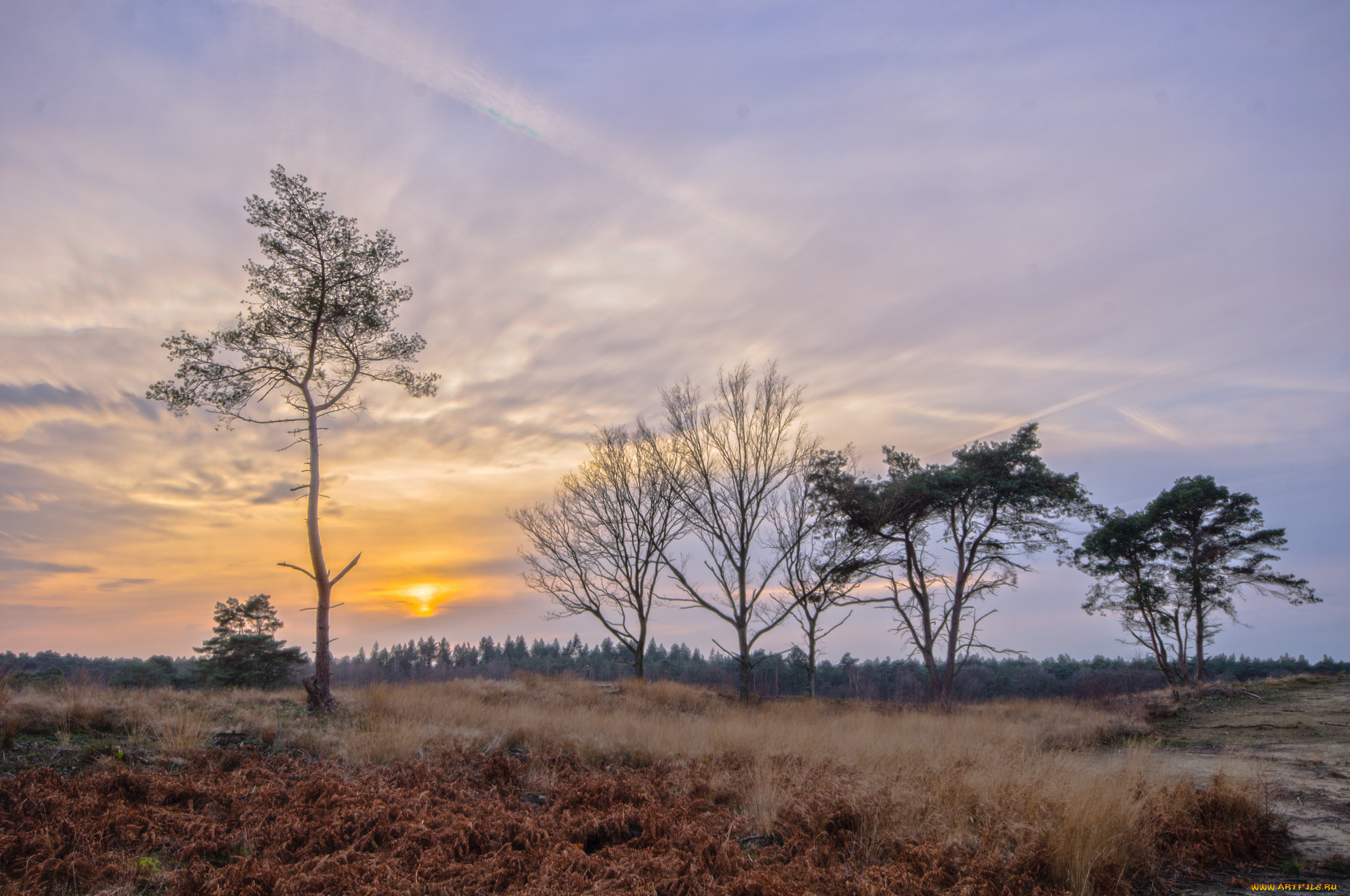 природа, восходы, закаты, рассвет