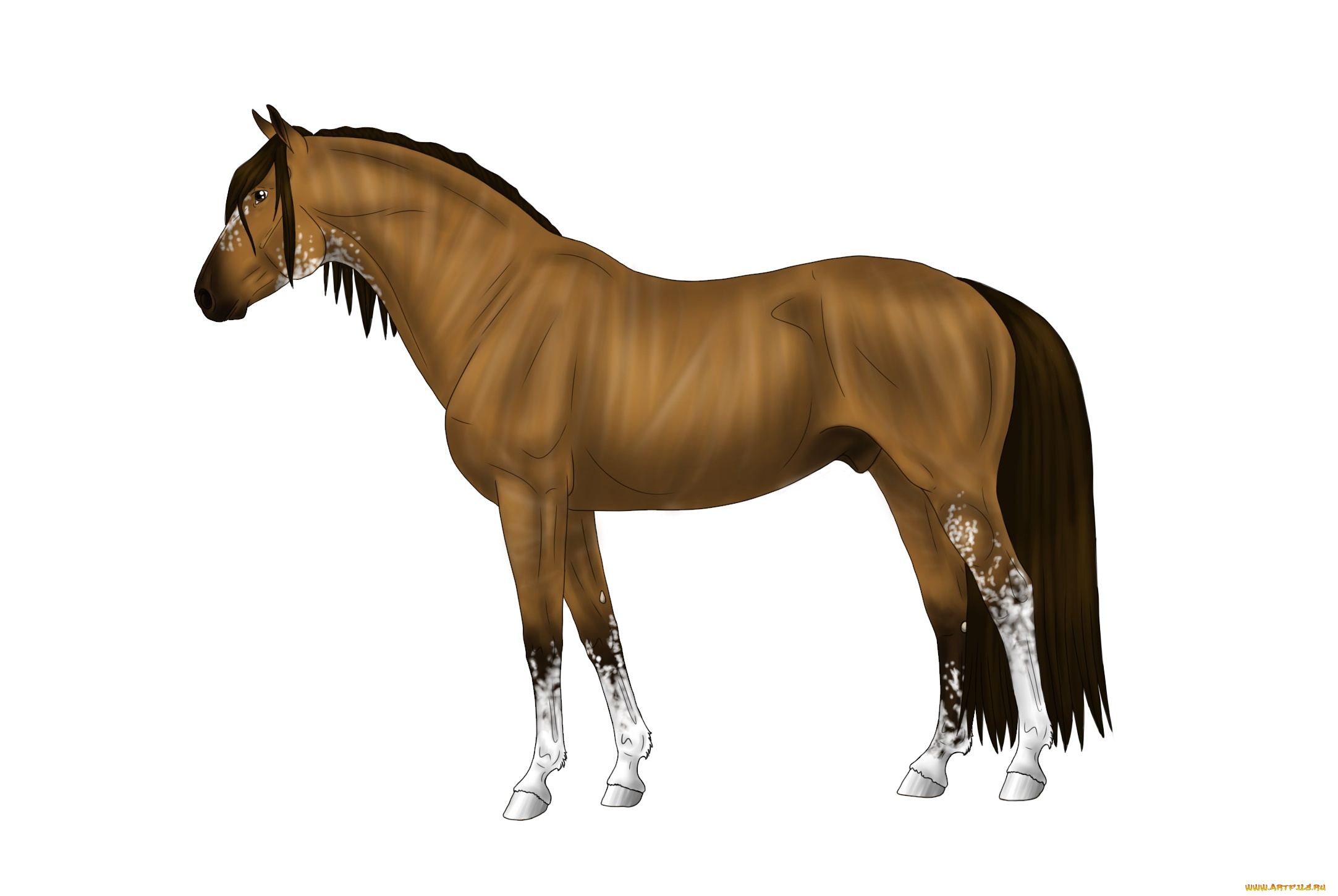 рисованное, животные, , лошади, лошадь, фон