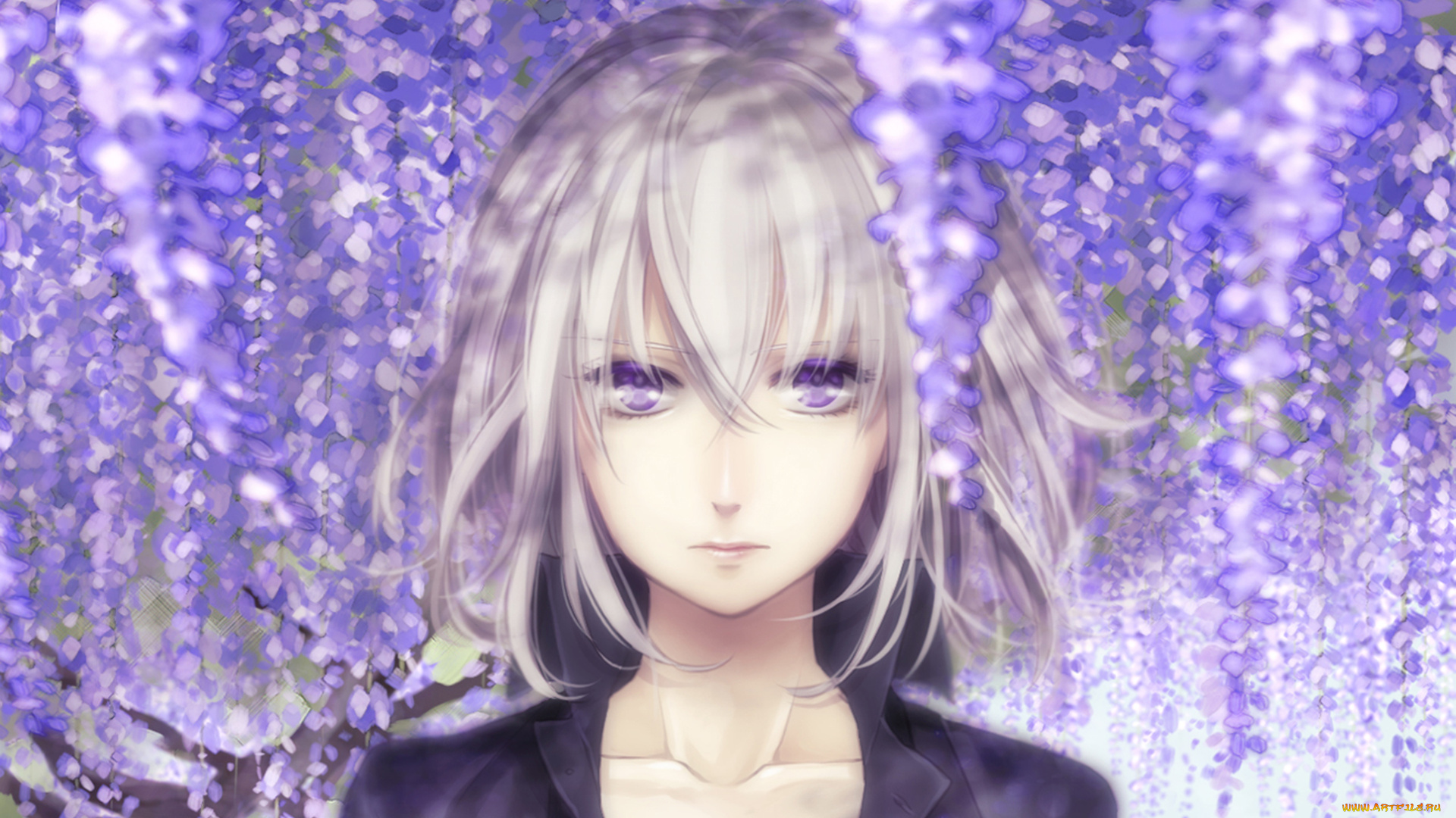 аниме, unknown, , другое, девушка, фиолетовые, глаза, вистерия, глициния