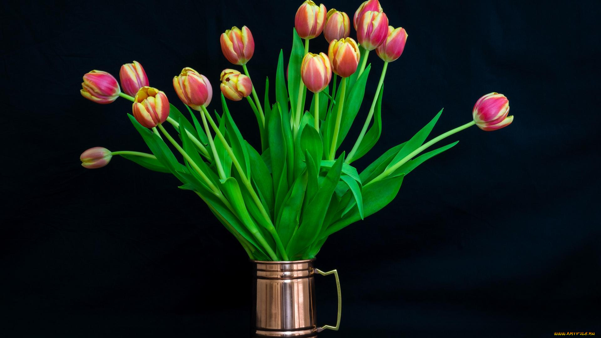 цветы, букеты, , композиции, тюльпаны, букет, флора, чёрный, фон