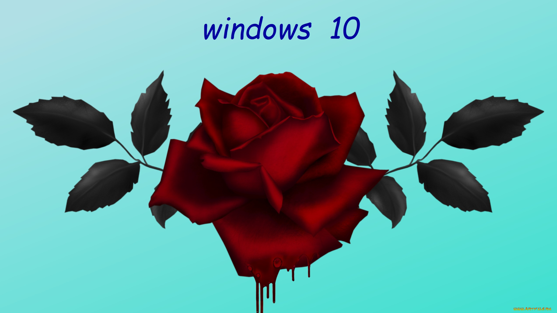 компьютеры, windows, , 10, фон, логотип