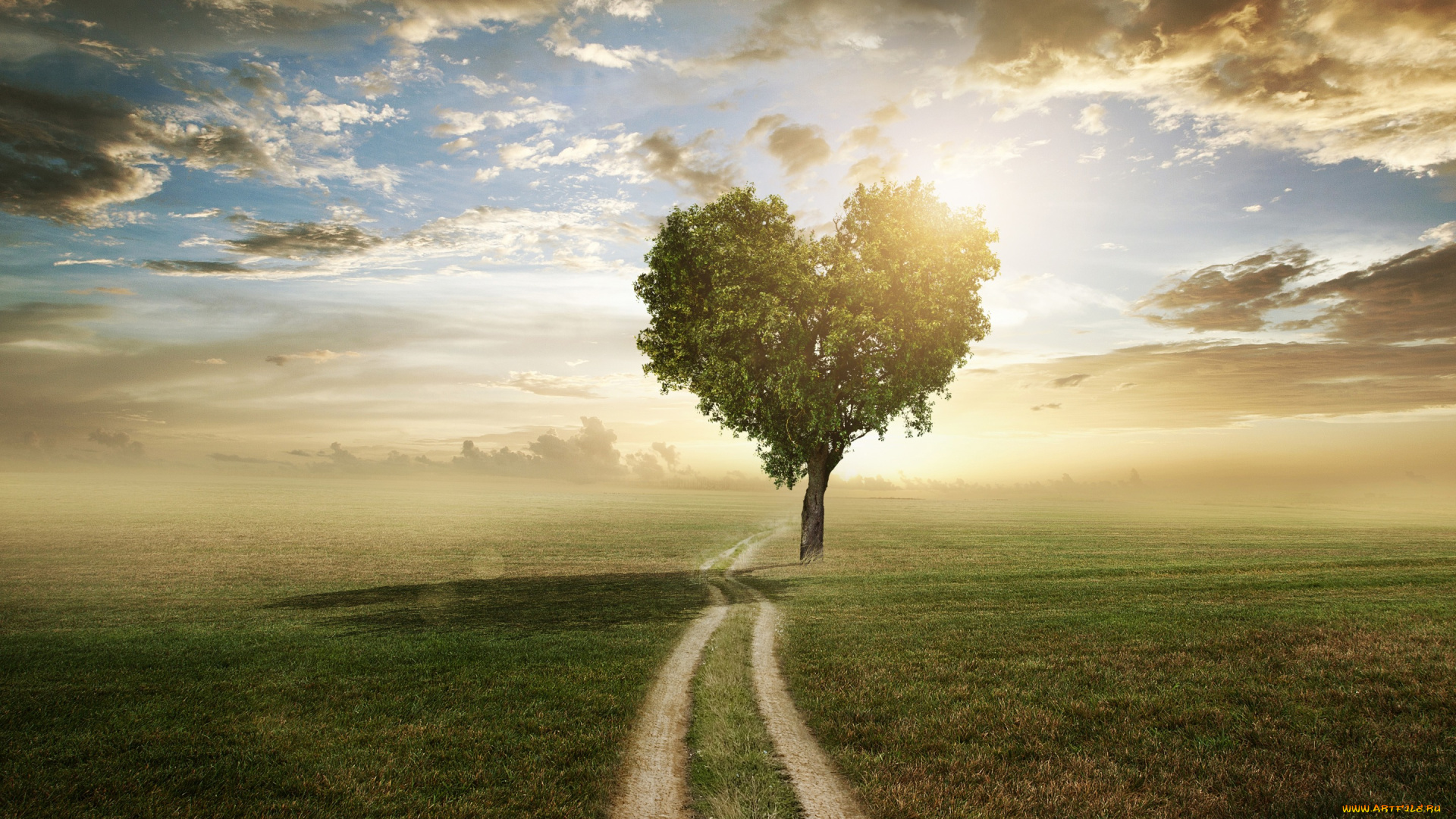 разное, компьютерный, дизайн, поле, небо, трава, любовь, дерево, сердце, love, field, landscape, heart, beautiful, tree, romantic