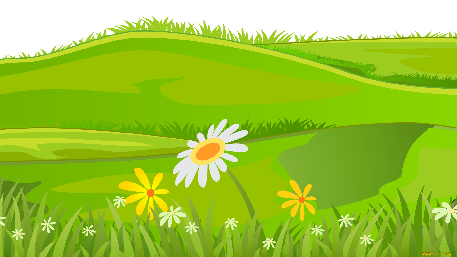 векторная, графика, природа, , nature, луг, цветы