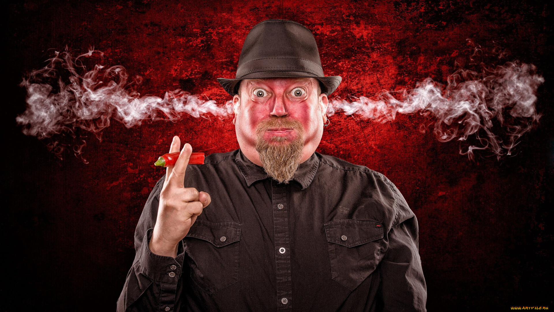 юмор, и, приколы, шляпа, борода, острый, перец, дым
