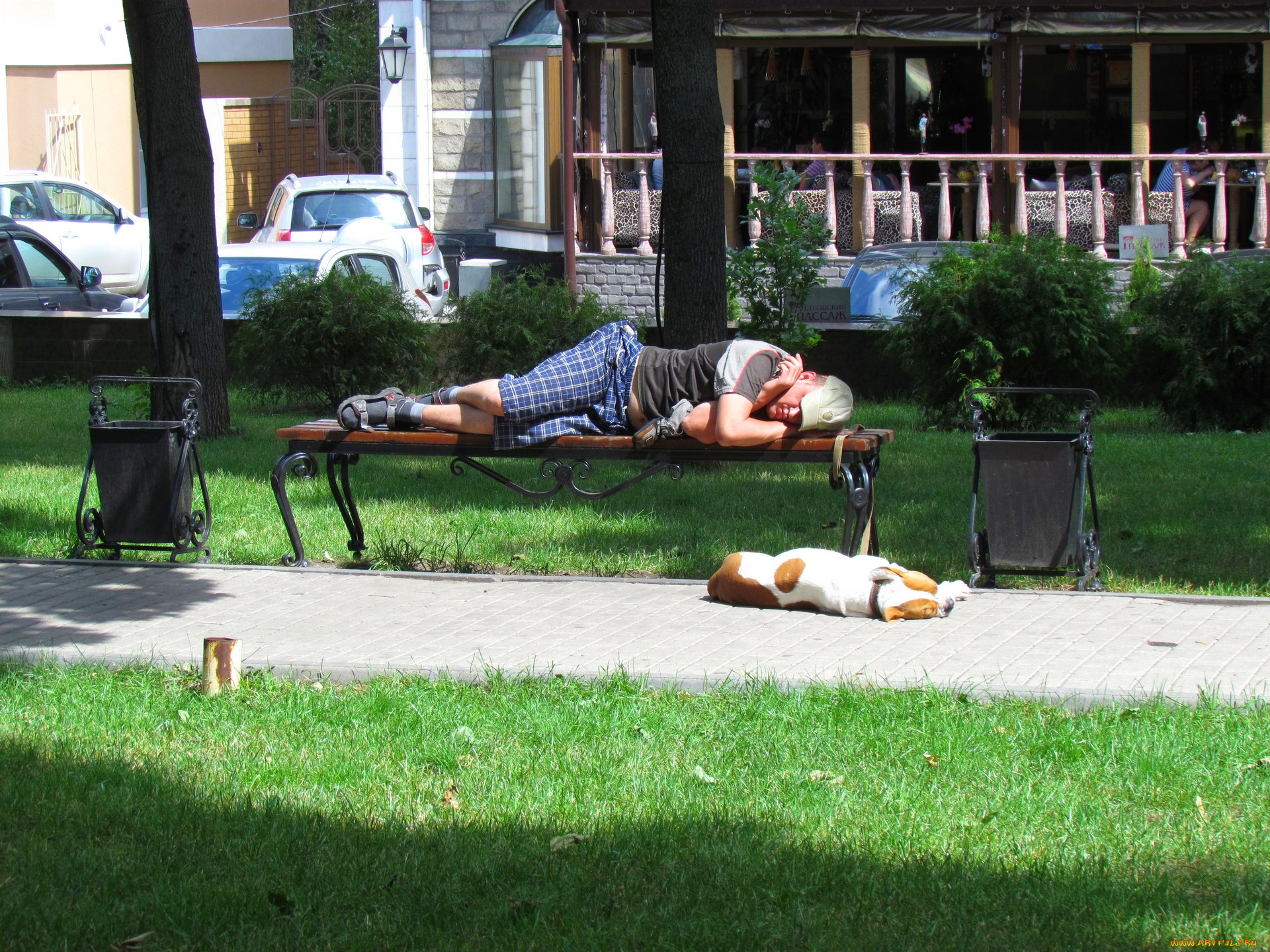 юмор, и, приколы, скамейка, мужчина, собака