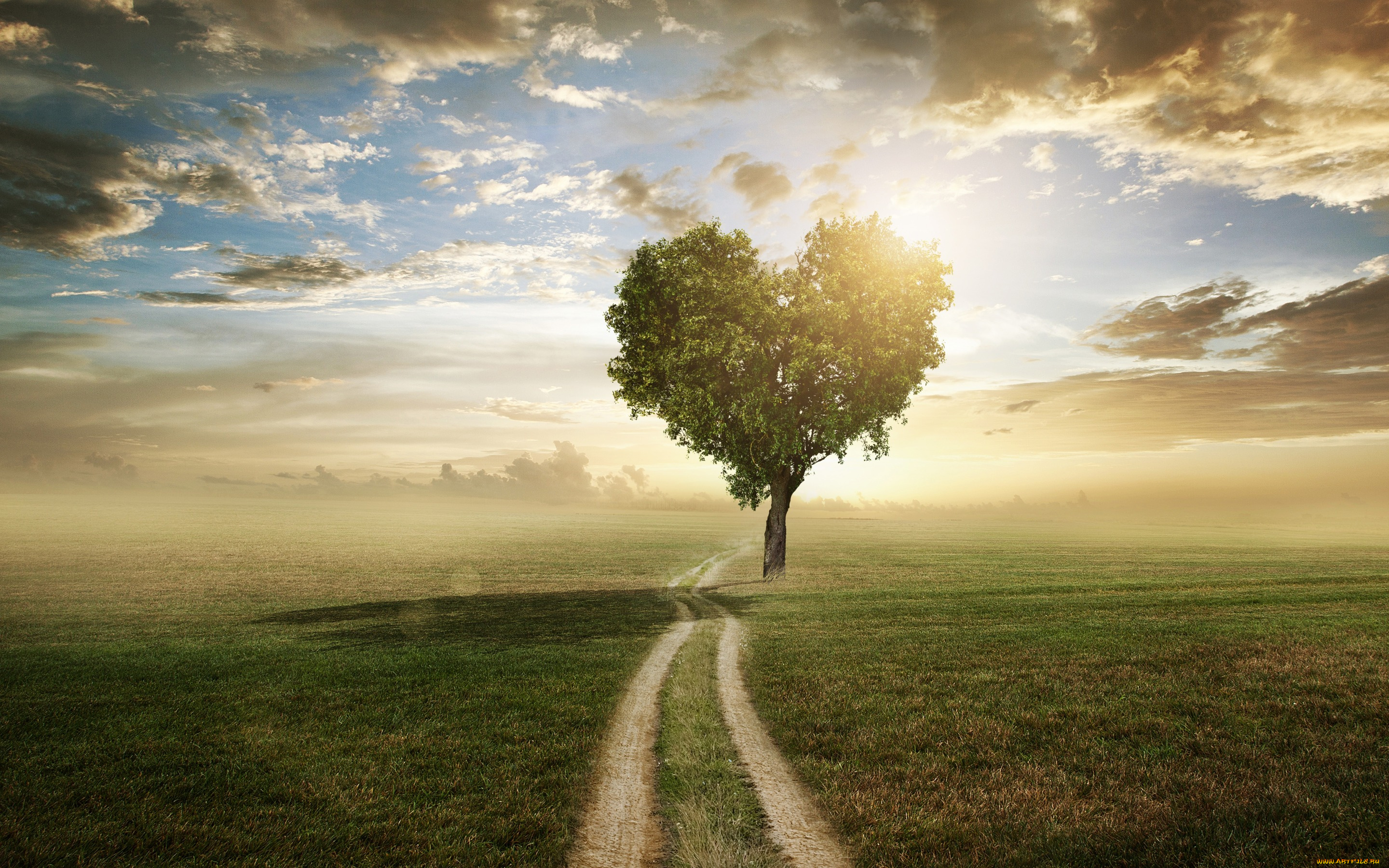 разное, компьютерный, дизайн, поле, небо, трава, любовь, дерево, сердце, love, field, landscape, heart, beautiful, tree, romantic