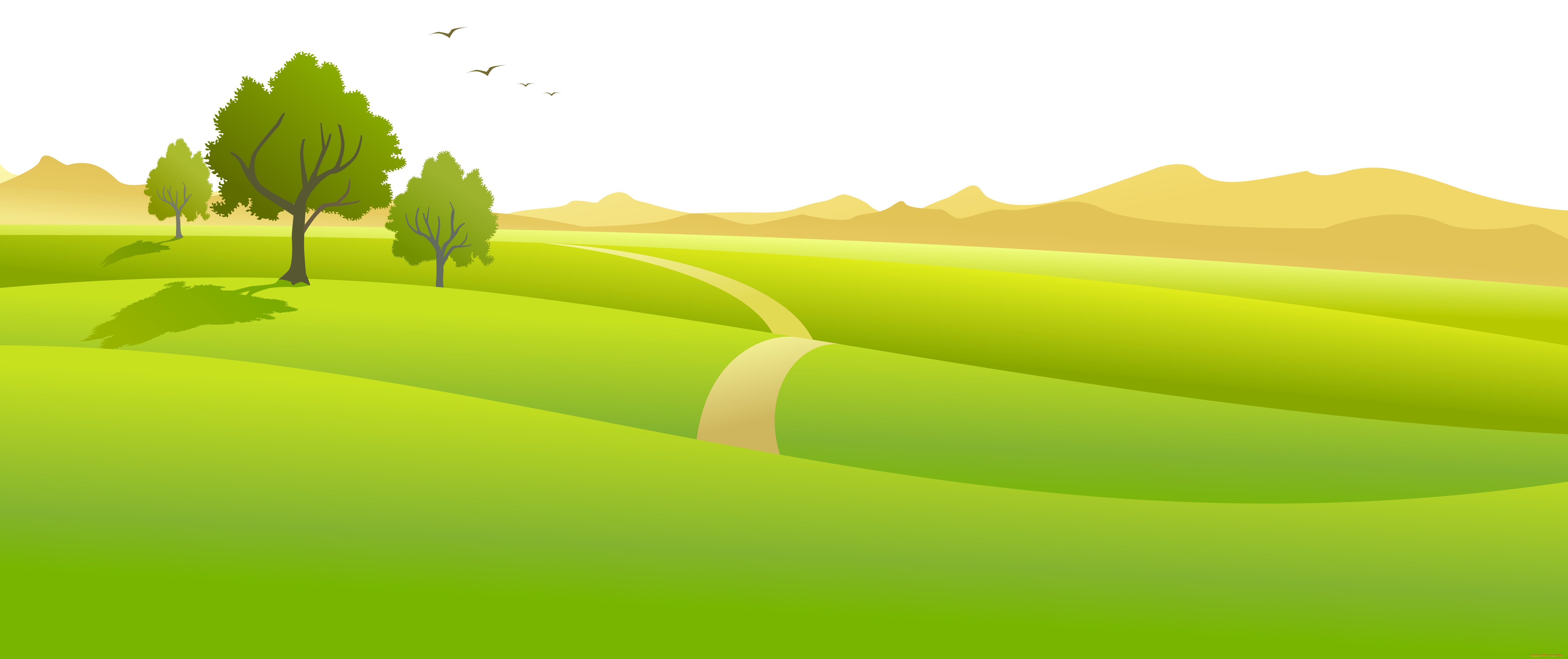 векторная, графика, природа, , nature, луг, глры