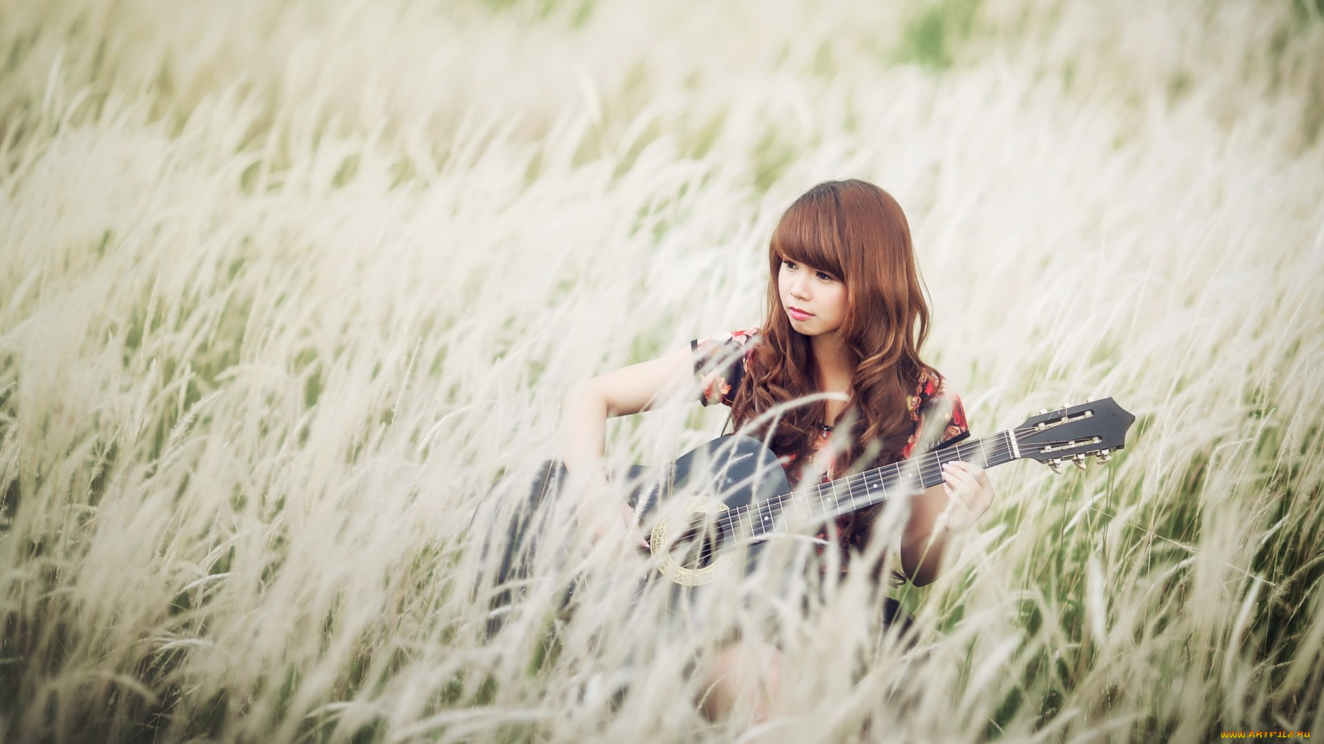 музыка, -другое, азиатка, растение, гитара, девушка