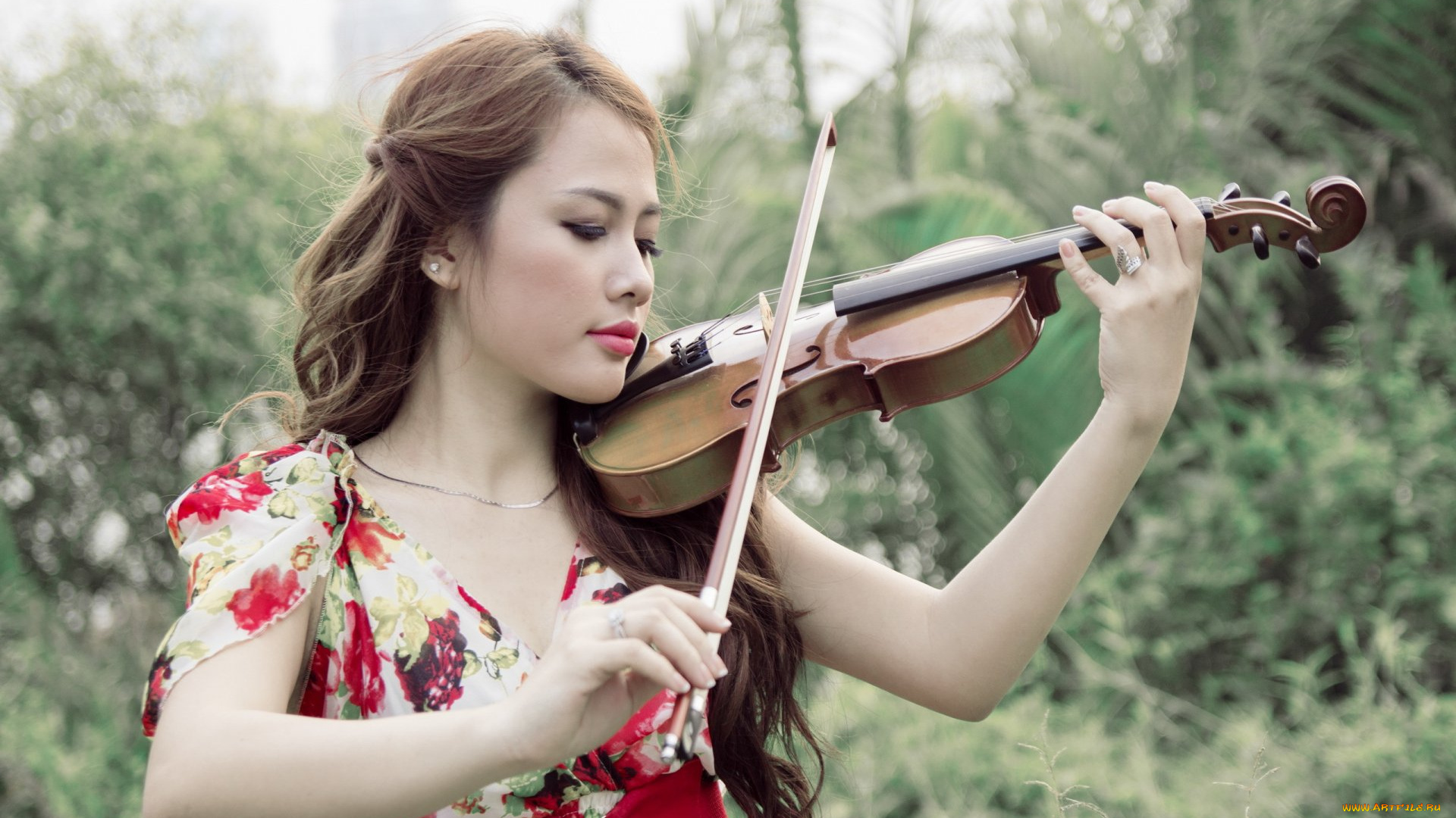 музыка, -другое, скрипка, девушка, азиатка