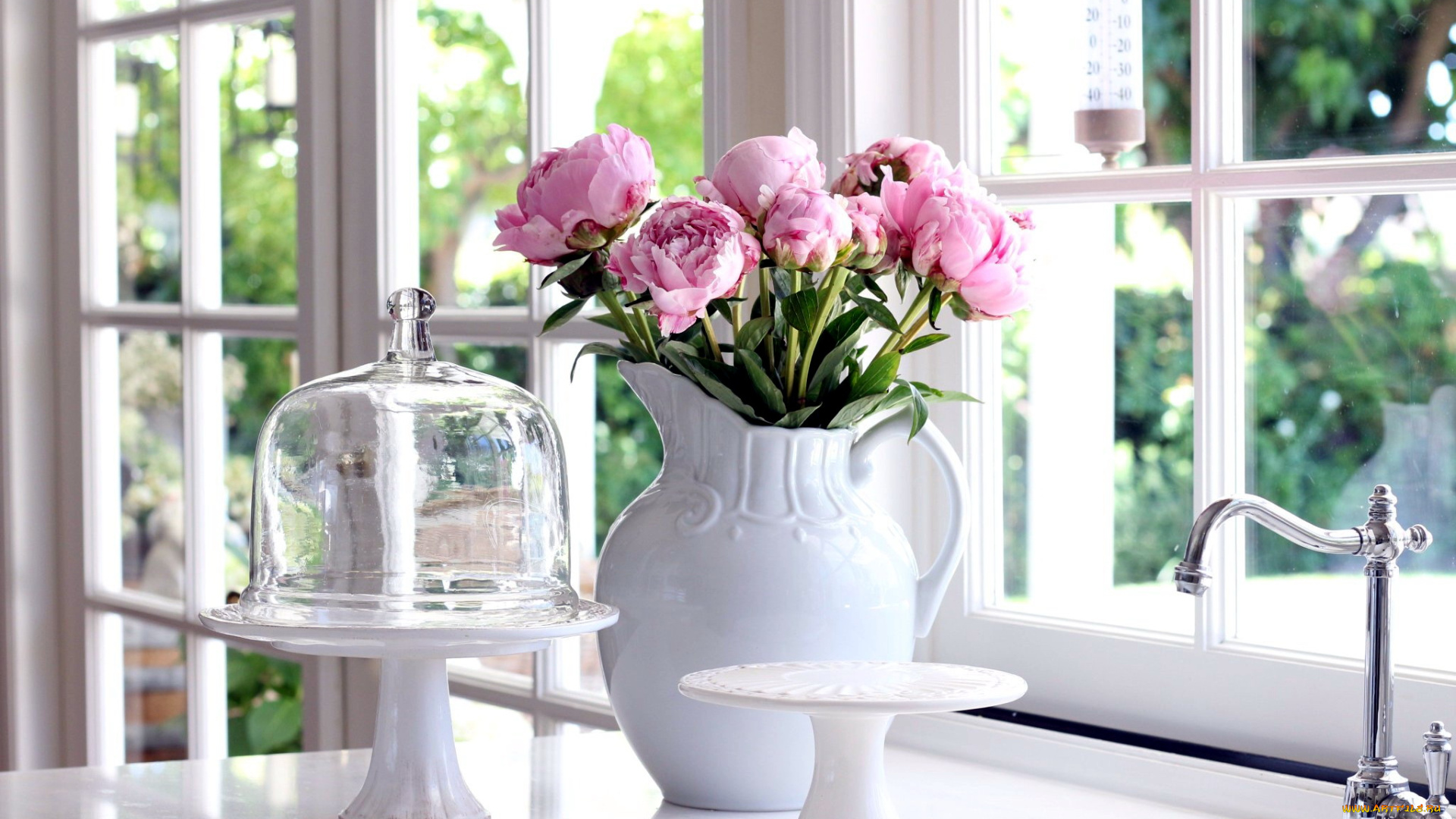 цветы, пионы, букет, бутоны