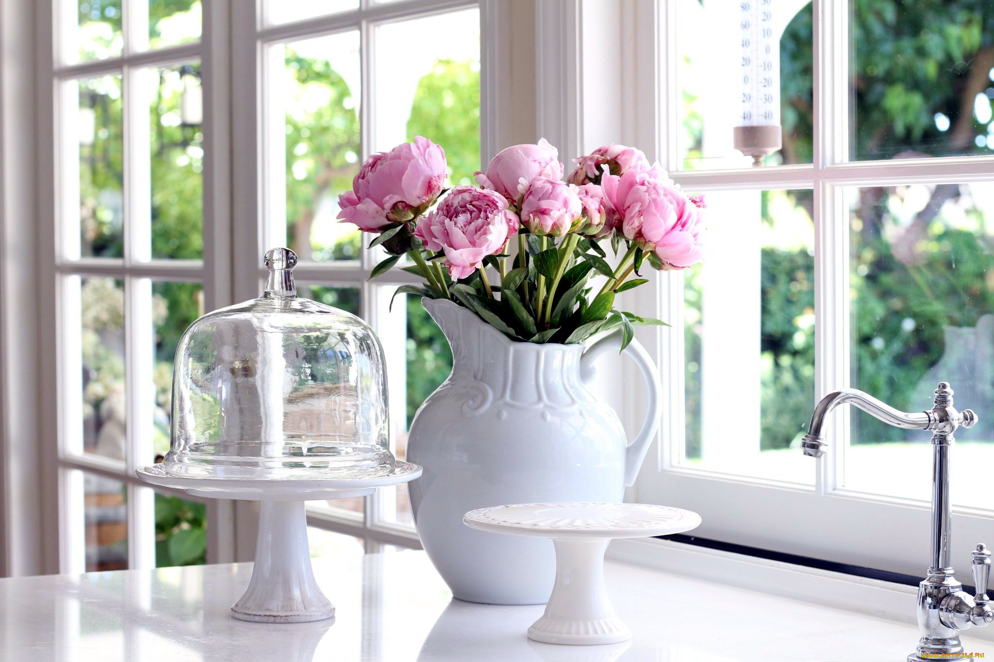 цветы, пионы, букет, бутоны