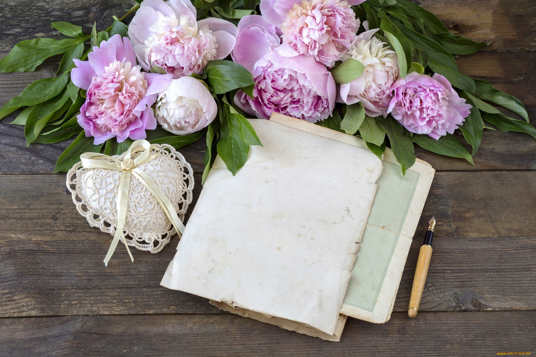 цветы, пионы, сердце, ручка