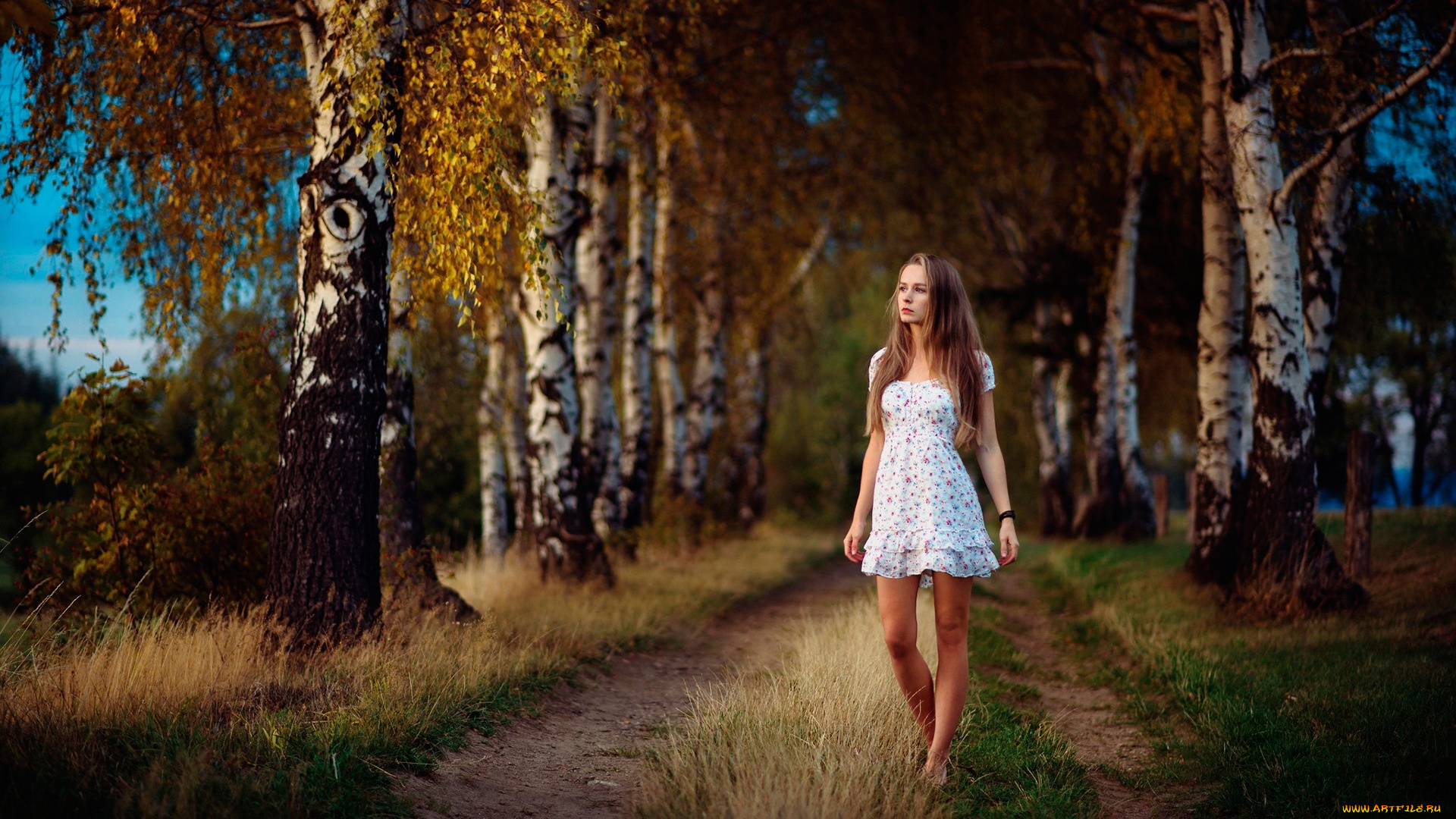 девушки, -, брюнетки, , шатенки, barbora, vavrova