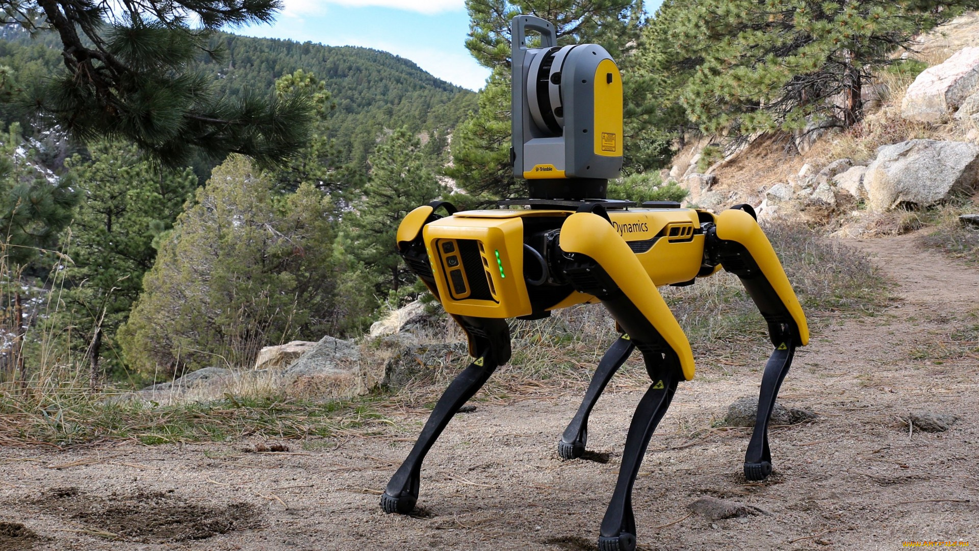 компьютеры, -unknown, , разное, robot, dog, spot, boston, dynamics, желтый