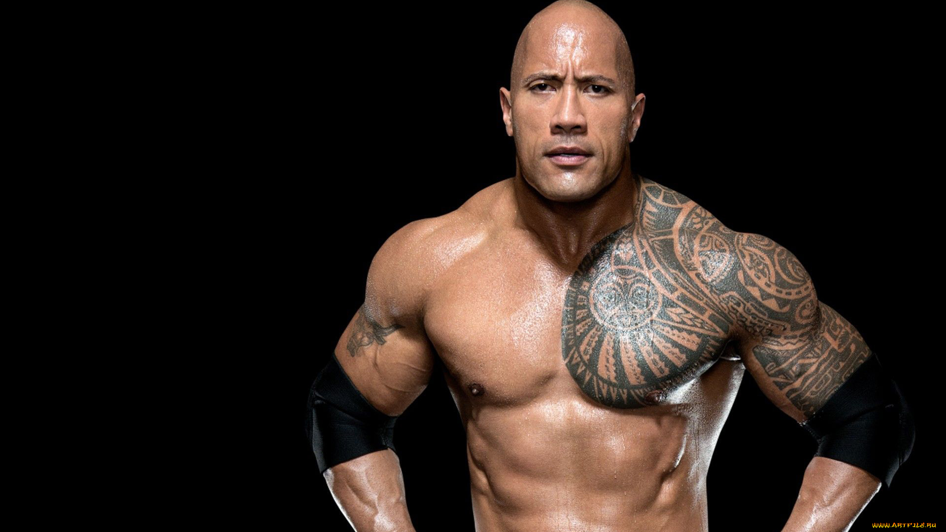 мужчины, dwayne, johnson, , the, rock, тату