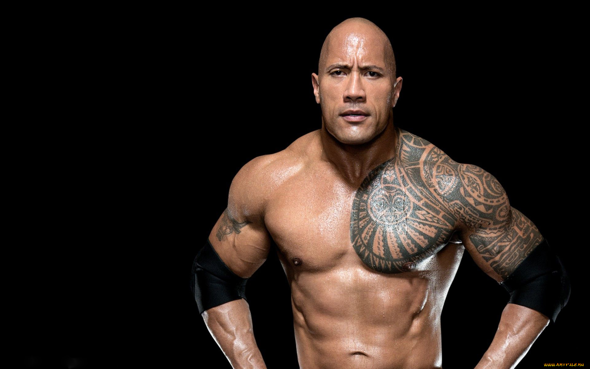 мужчины, dwayne, johnson, , the, rock, тату