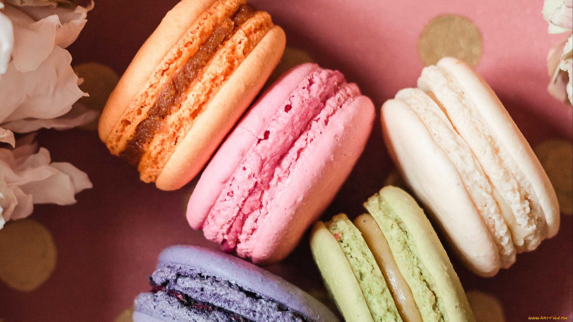 еда, макаруны, лакомство, печенье