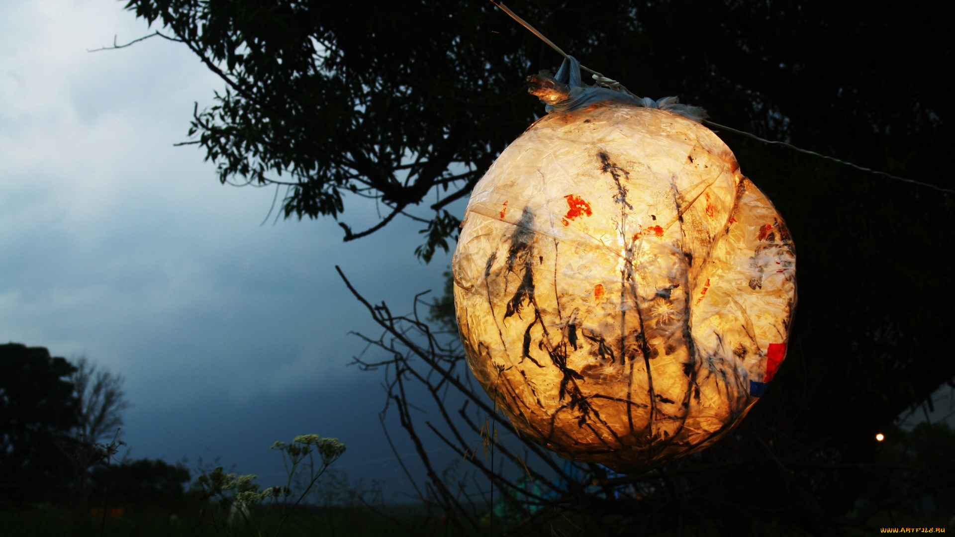 разное, осветительные, приборы, фонарь, шар, природа