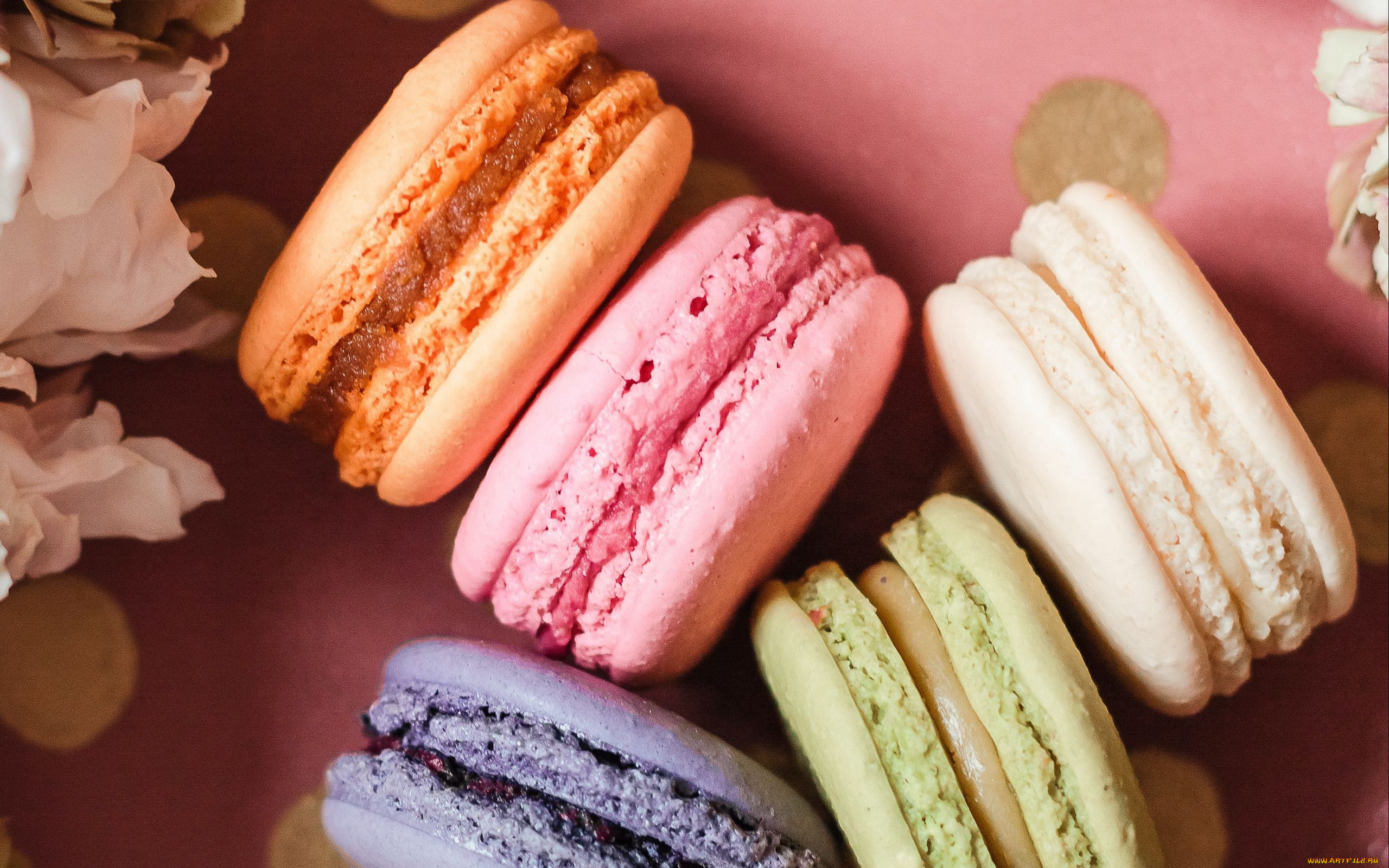 еда, макаруны, лакомство, печенье