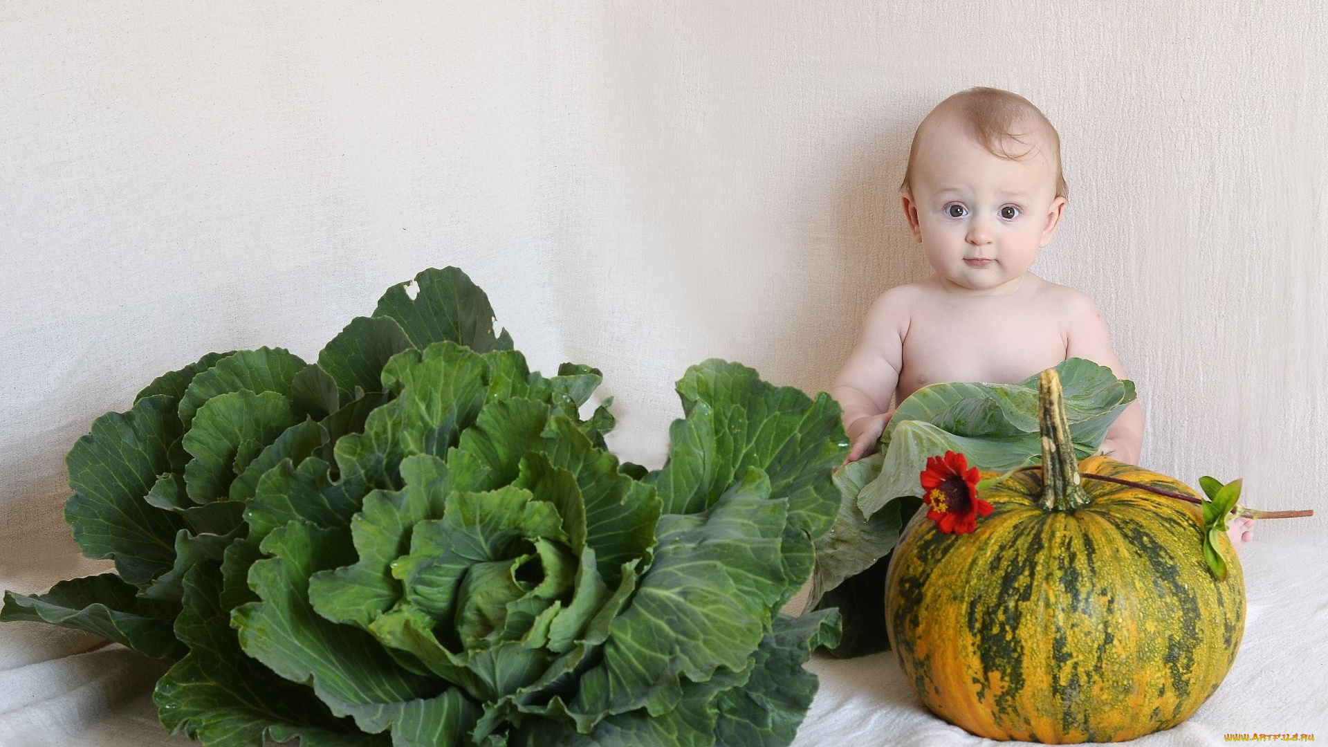 разное, дети, ребенок, капуста, тыква, цветок