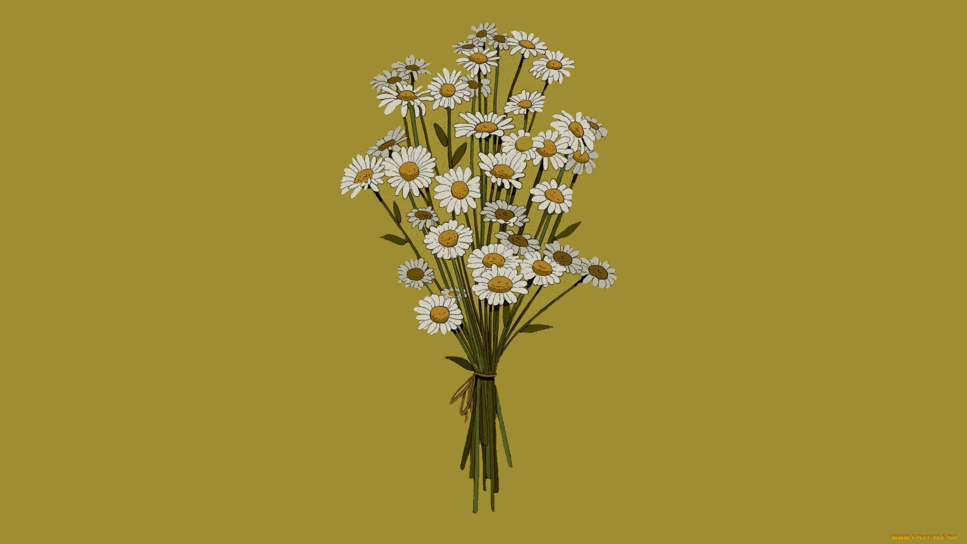 рисованное, цветы, ромашки, букет