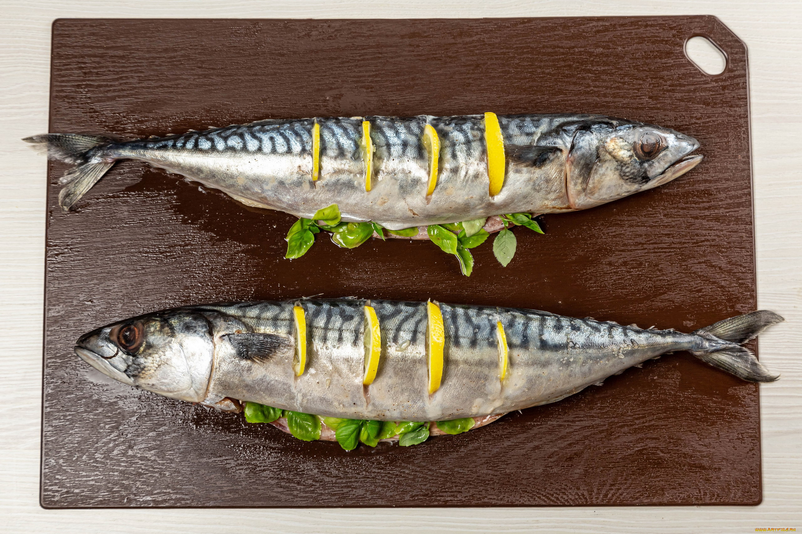 еда, рыба, , морепродукты, , суши, , роллы, скумбрия, мята, лимон