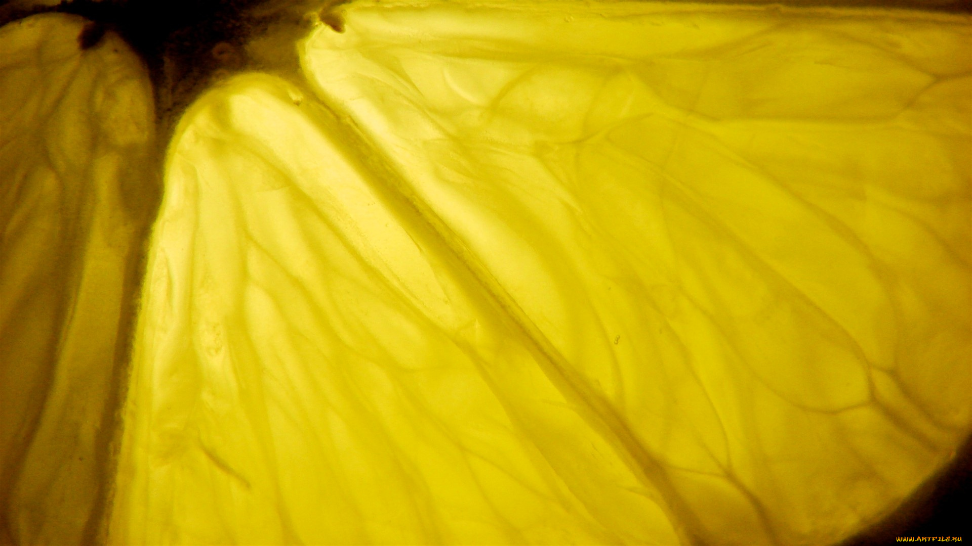 еда, цитрусы, макро, долька, лимон