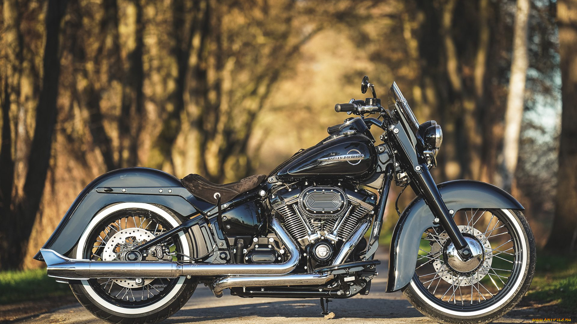 харлей, мотоциклы, harley-davidson, мотоцикл, байк, thunderbike, customs