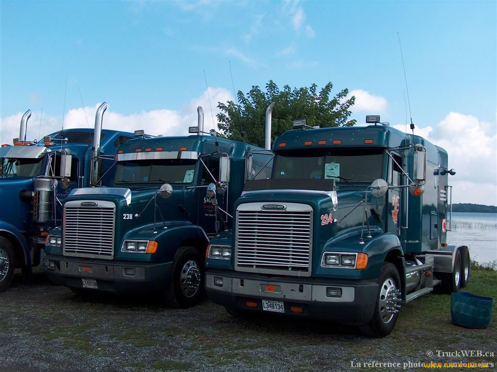 автомобили, freightliner