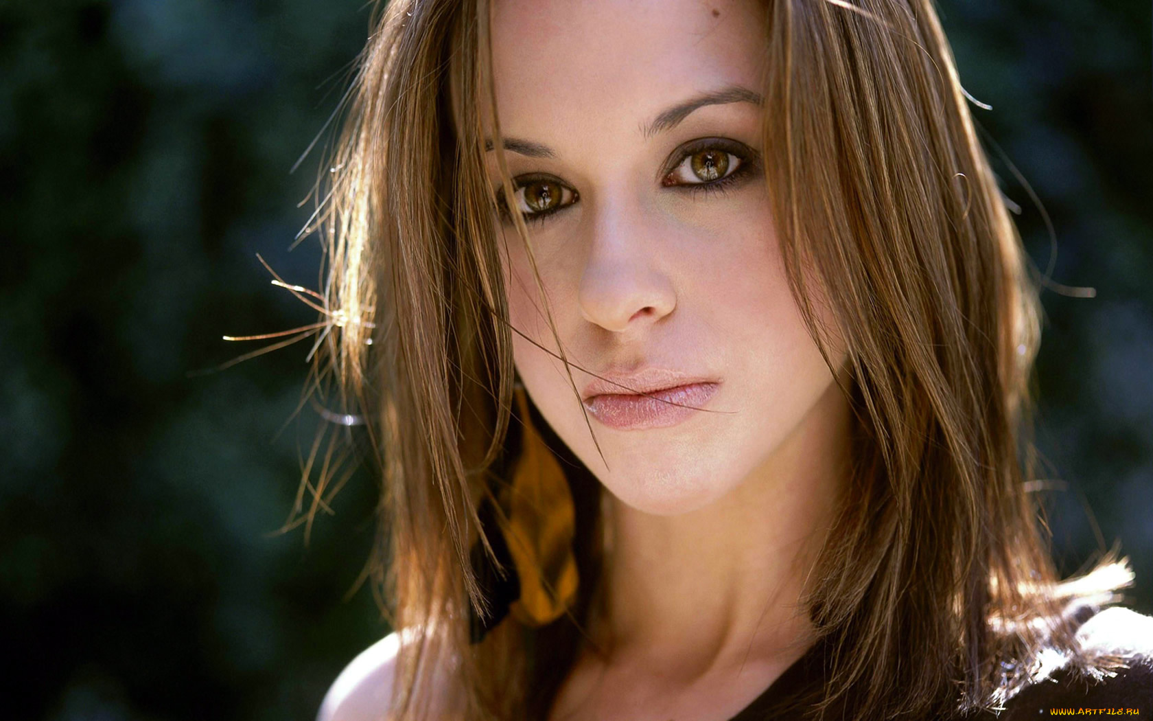 Lacey, Chabert, девушки