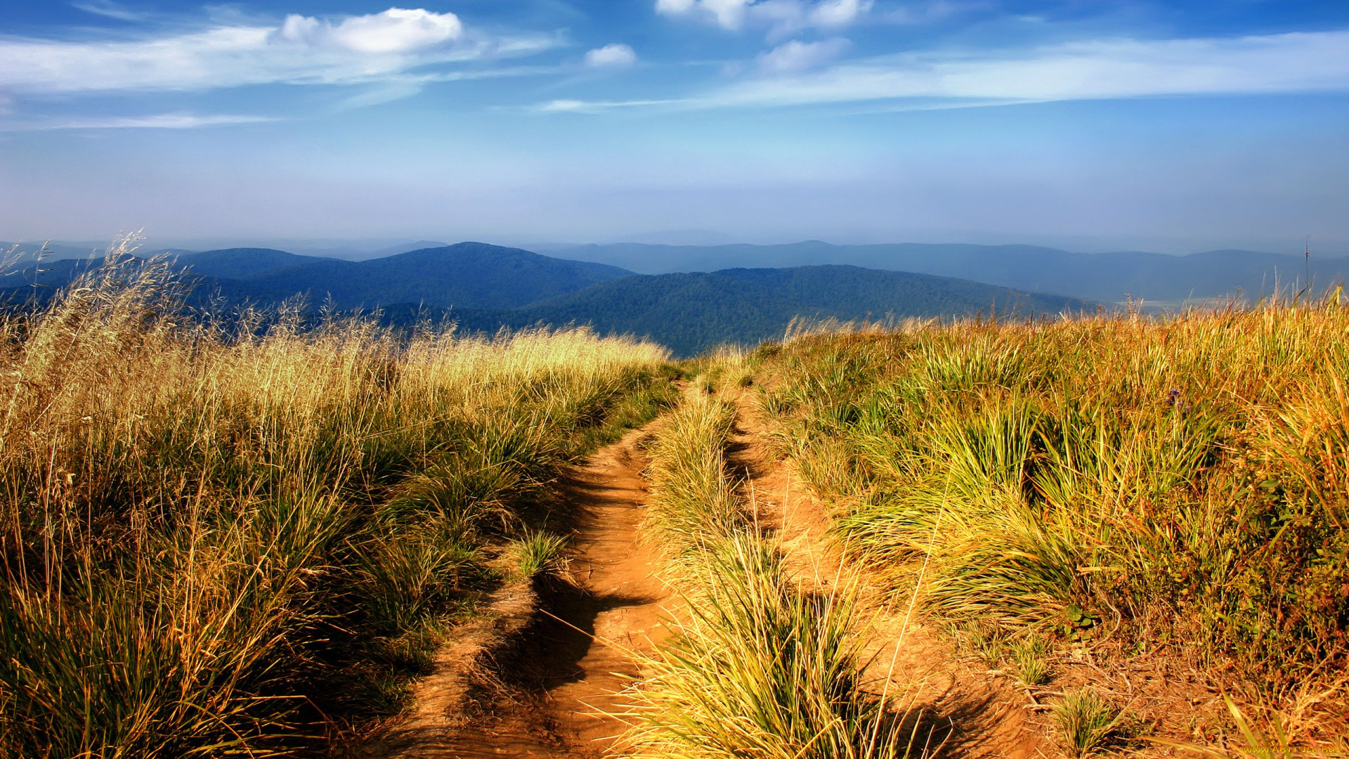 природа, дороги