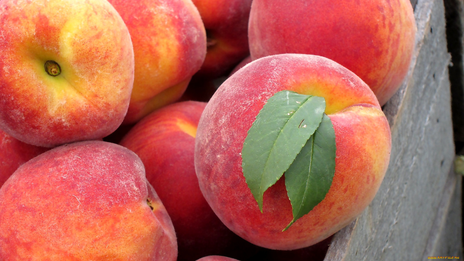 еда, персики, сливы, абрикосы, спелый