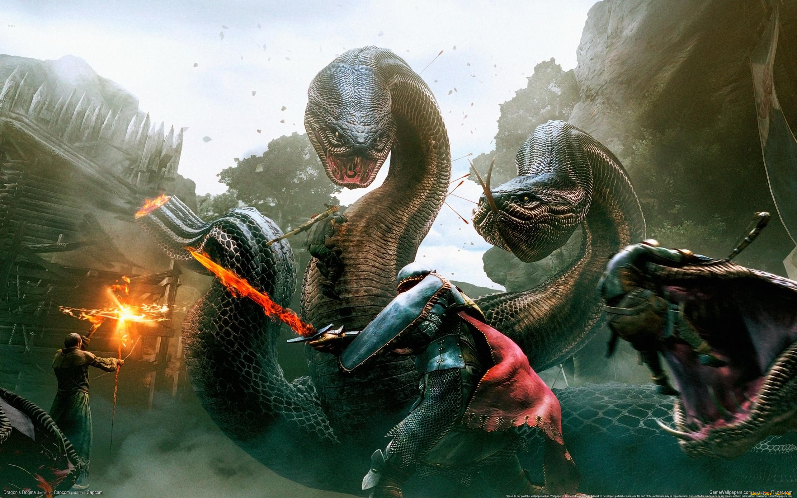 dragon`s, dogma, №522700, видео, игры, змея