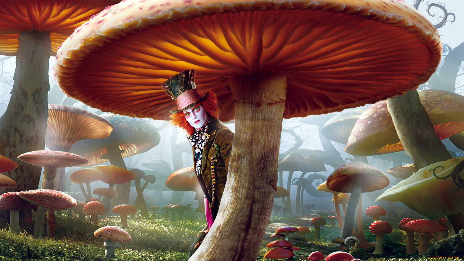 алиса, стране, чудес, кино, фильмы, alice, in, wonderland, в