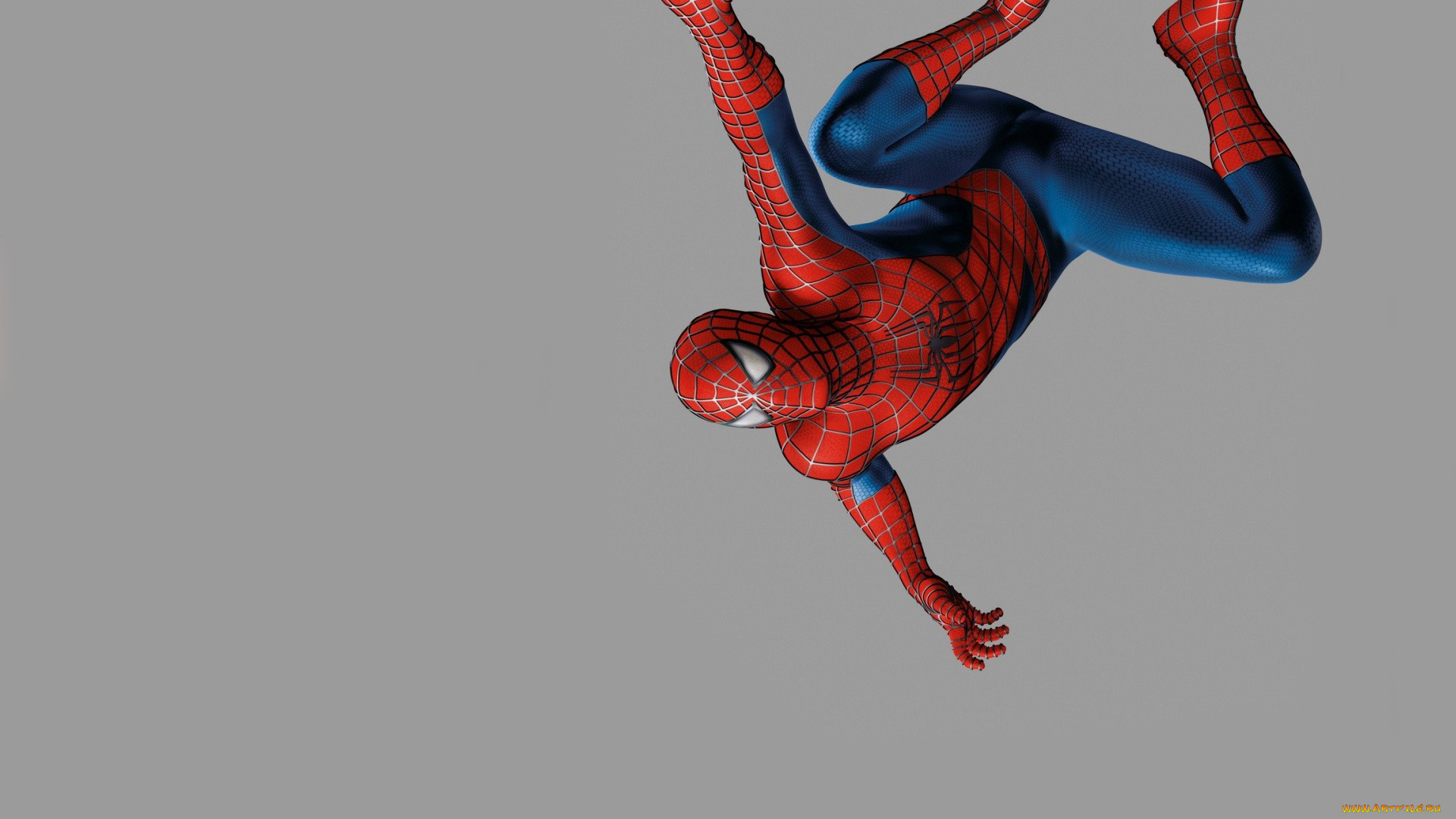 Человек, паук, рисованные, комиксы, повис, наверху, spider-man, Человек-паук, man, spider