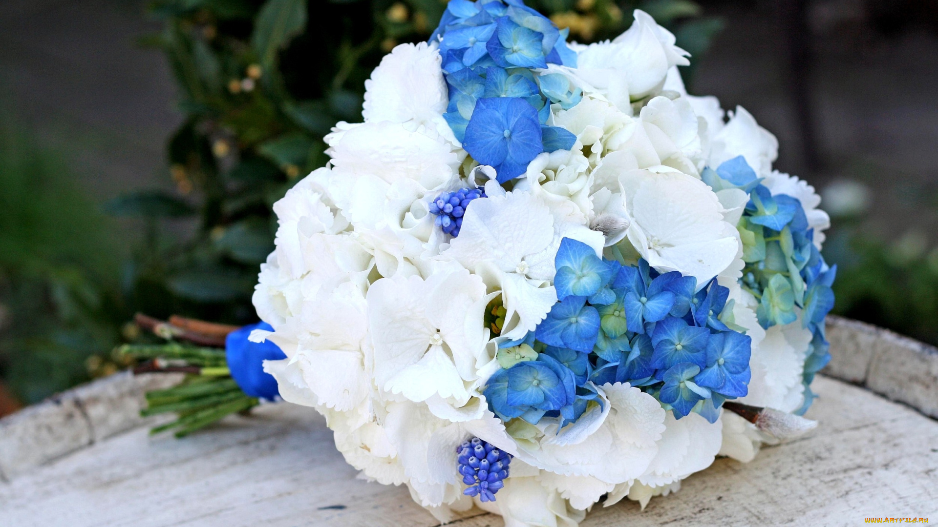 цветы, букеты, композиции, гиацинт, мускари, гортензия