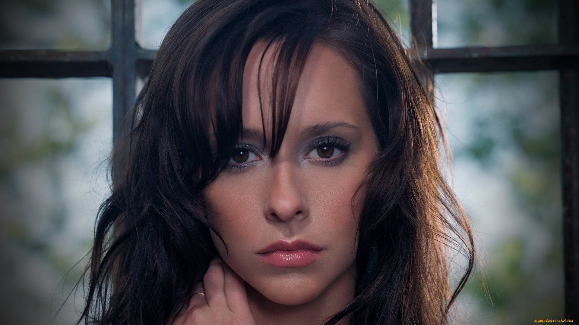 Jennifer, Love, Hewitt, девушки, брюнетка, актриса, голливуд