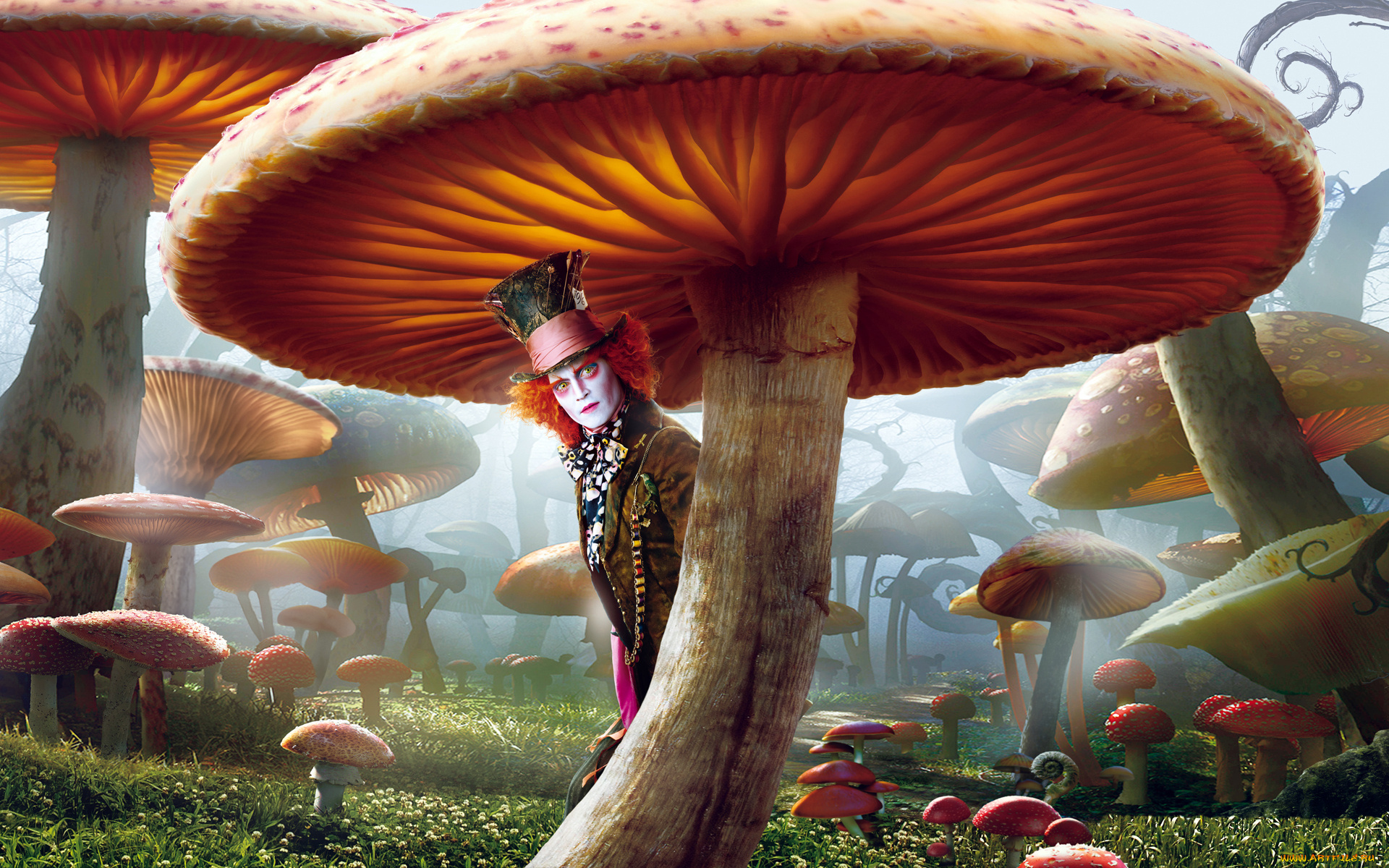 алиса, стране, чудес, кино, фильмы, alice, in, wonderland, в