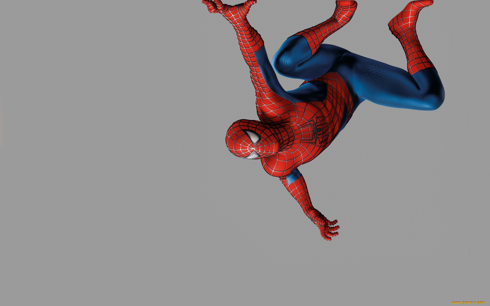 Человек, паук, рисованные, комиксы, повис, наверху, spider-man, Человек-паук, man, spider