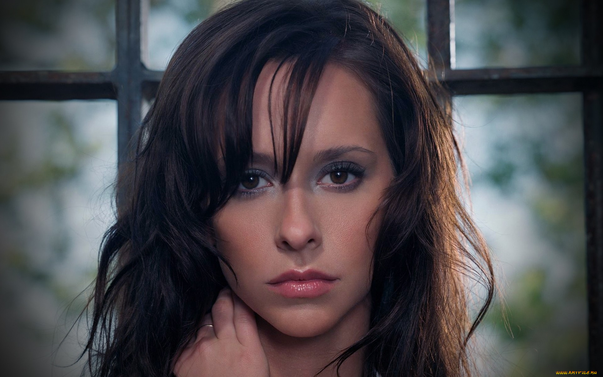 Jennifer, Love, Hewitt, девушки, брюнетка, актриса, голливуд