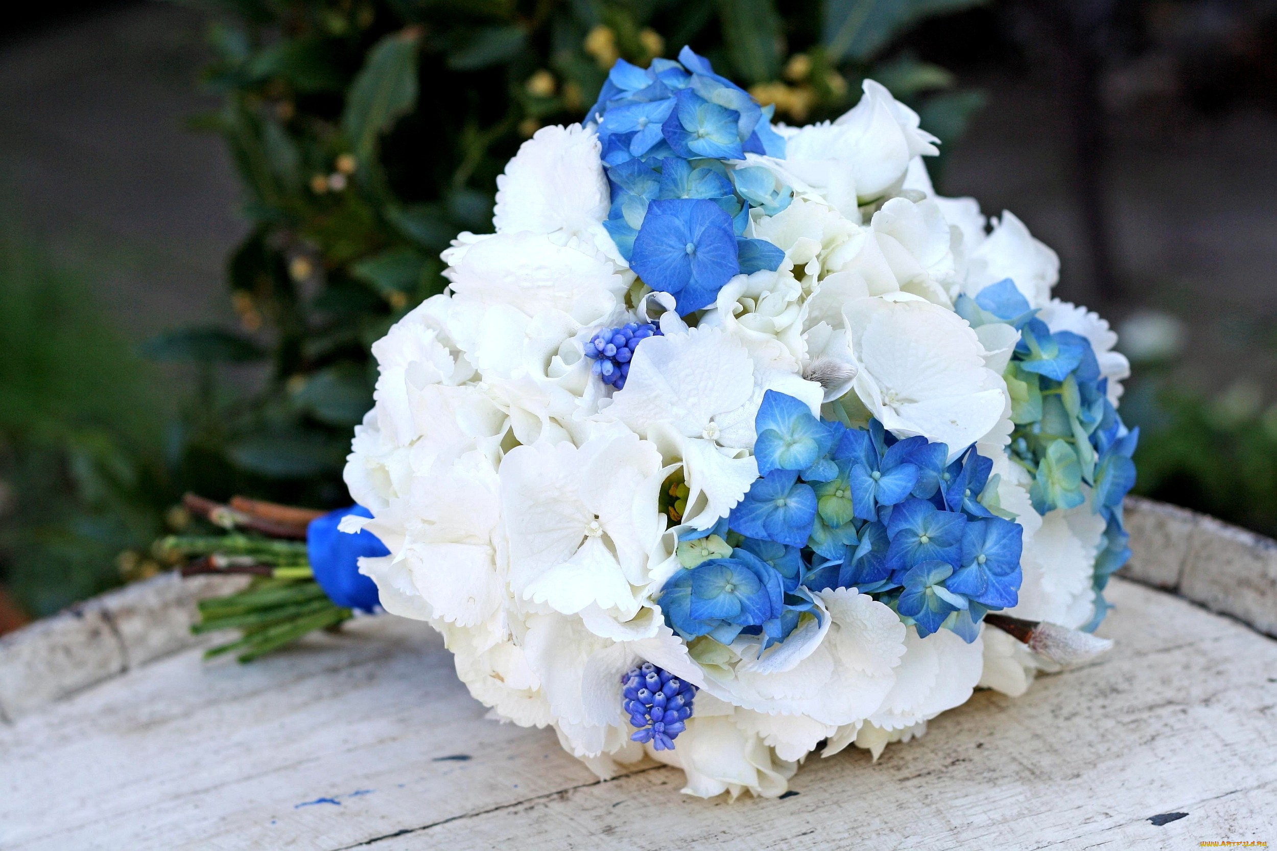 цветы, букеты, композиции, гиацинт, мускари, гортензия