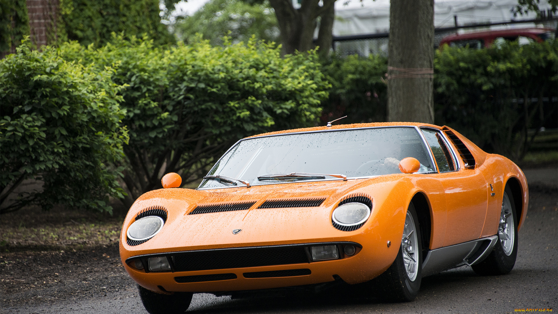 lamborghini, miura, s, coupe, , 1970, , автомобили, lamborghini, автопробег, выставка, автошоу