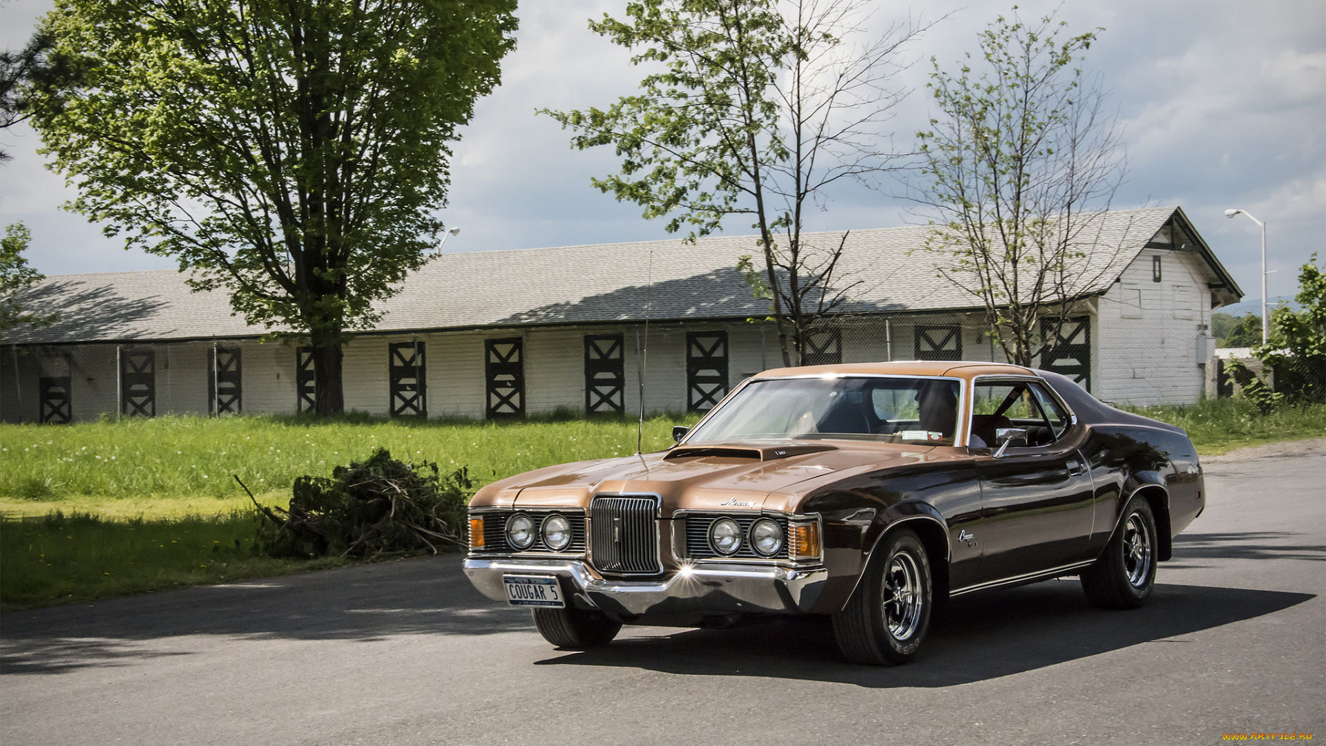 mercury, cougar, автомобили, mercury, автошоу, выставка, автопробег