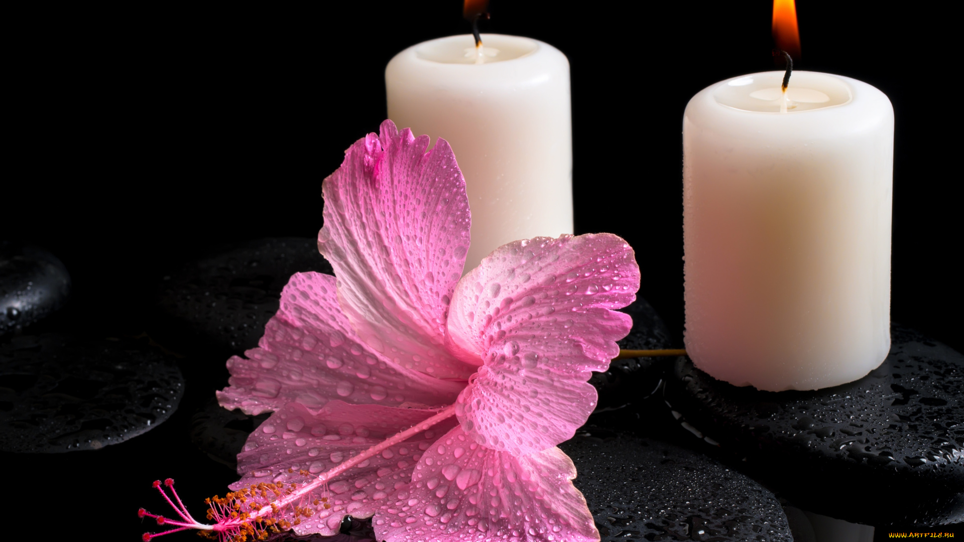 разное, свечи, гибискус, цветок, спа, камни, капли, вода
