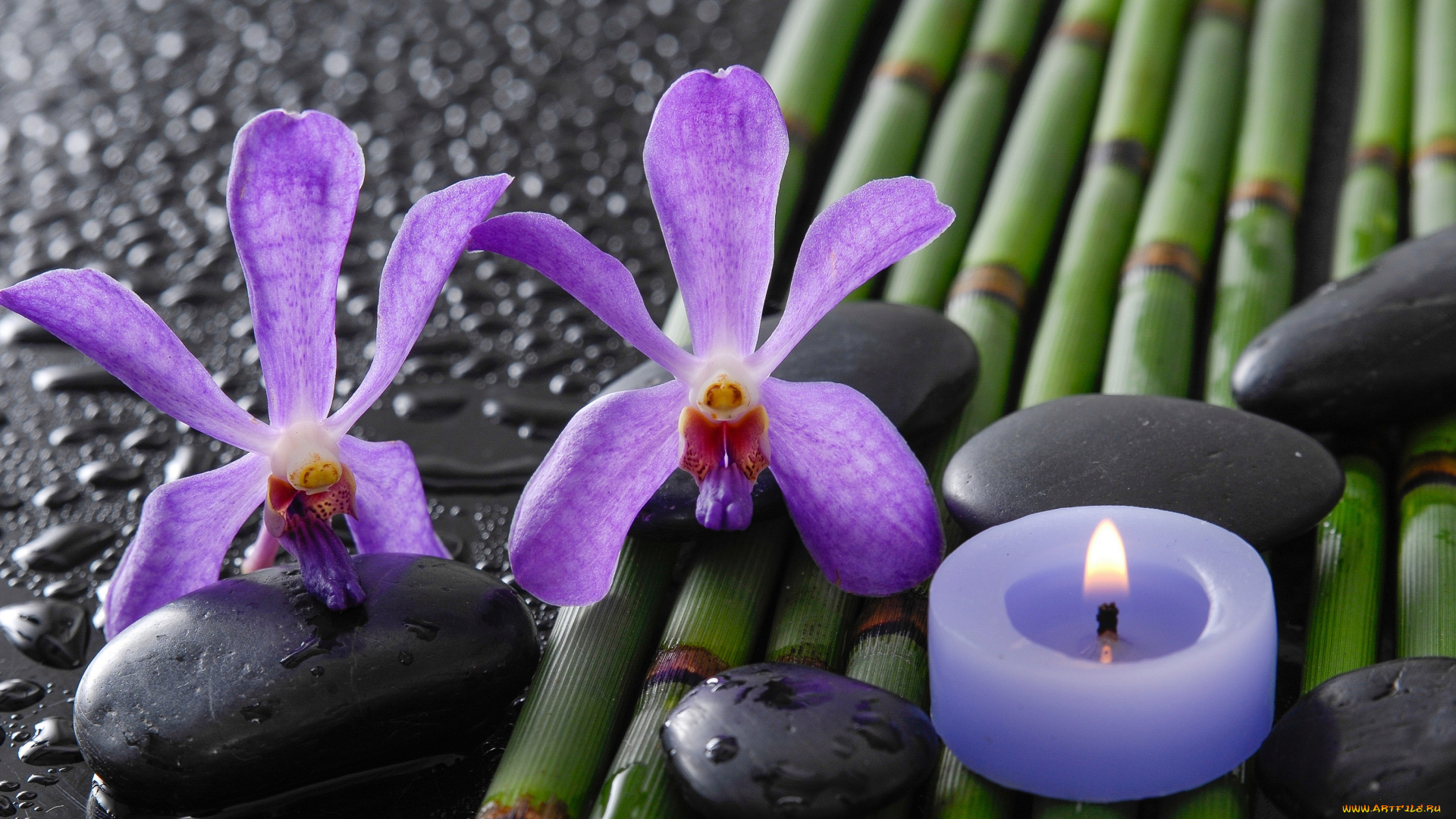 разное, свечи, спа, камни, капли, бамбук, орхидеи, цветы