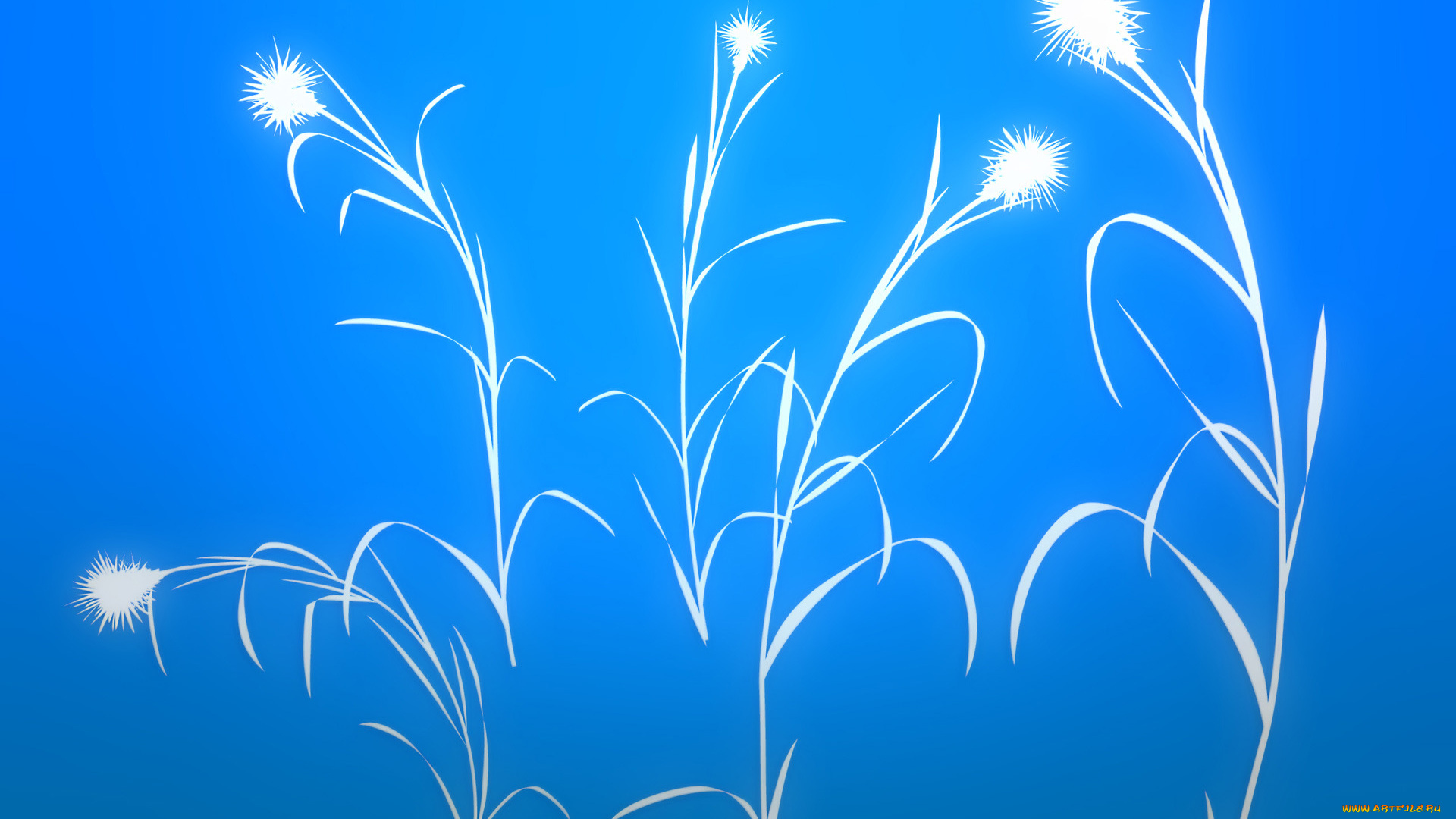 векторная, графика, цветы, синий