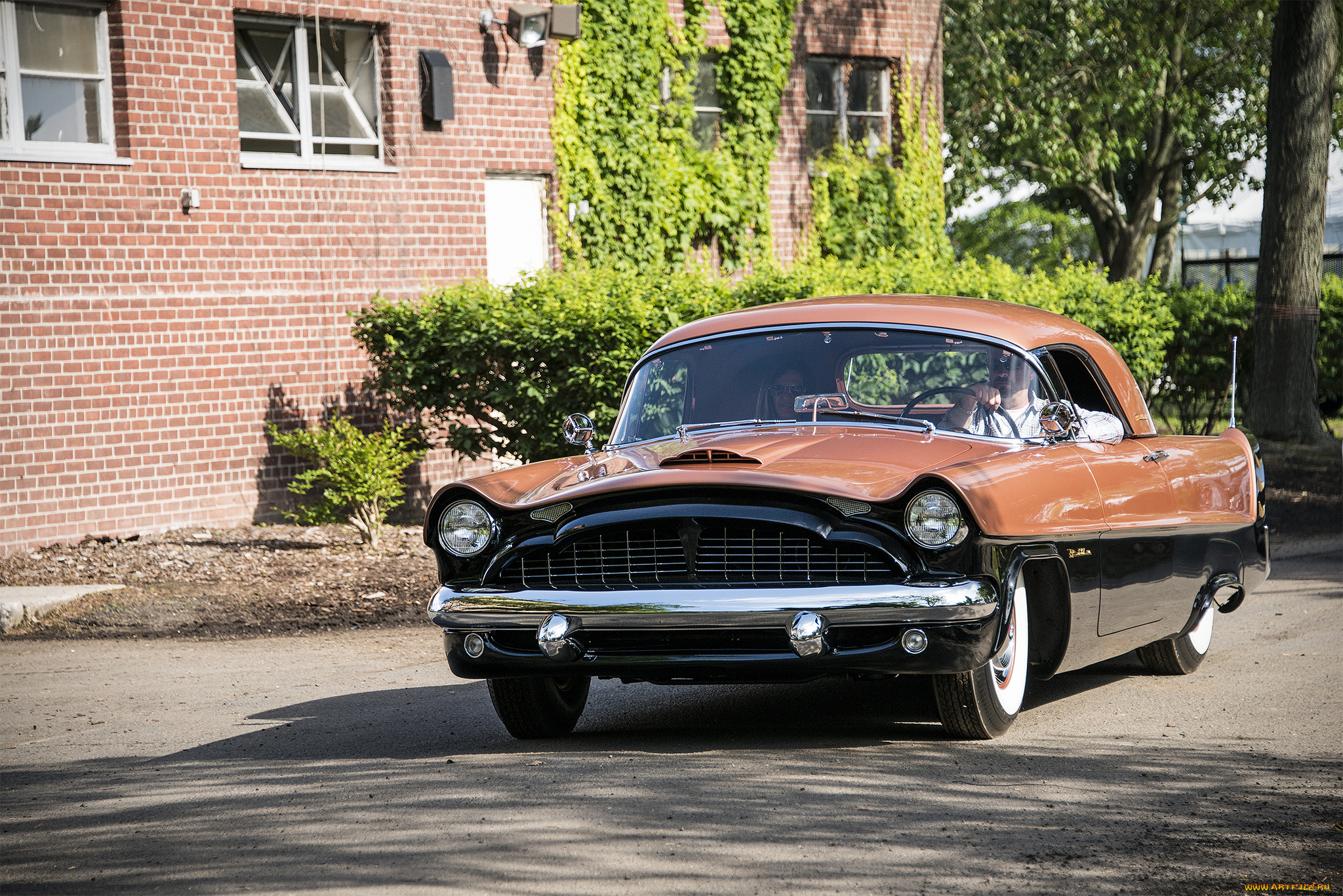 packard, panther, , 1954, -, best, in, show, , greenwich, concours, americana, 201, автомобили, packard, автопробег, выставка, автошоу