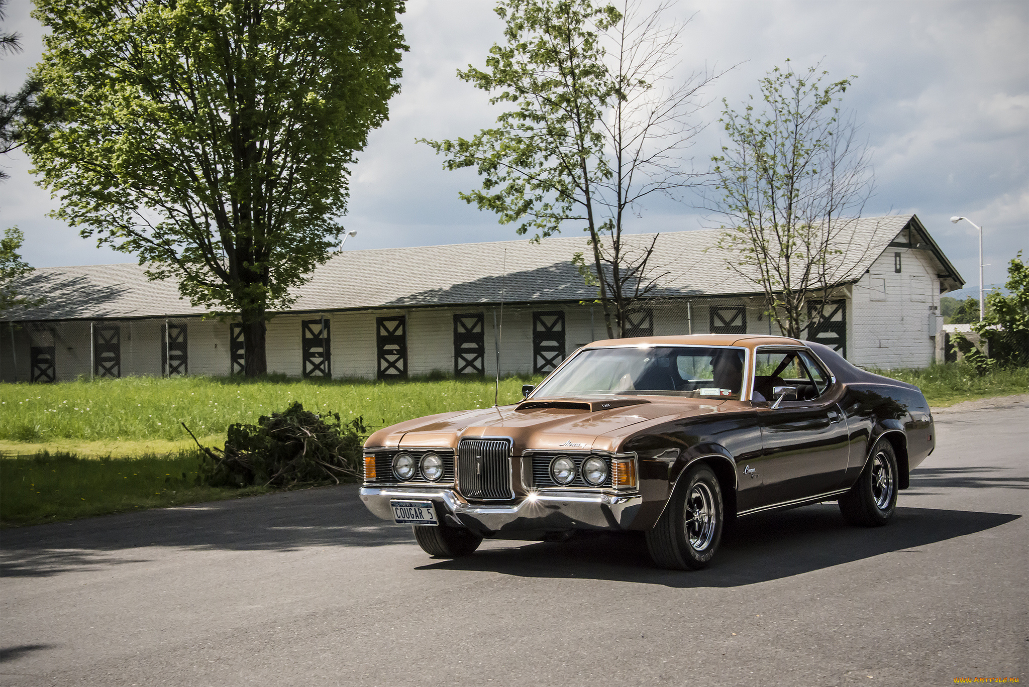 mercury, cougar, автомобили, mercury, автошоу, выставка, автопробег